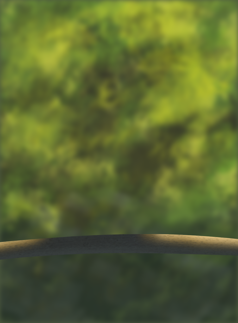 DPS-Prog-1-1-Exercice5-Oiseau-Commenceme