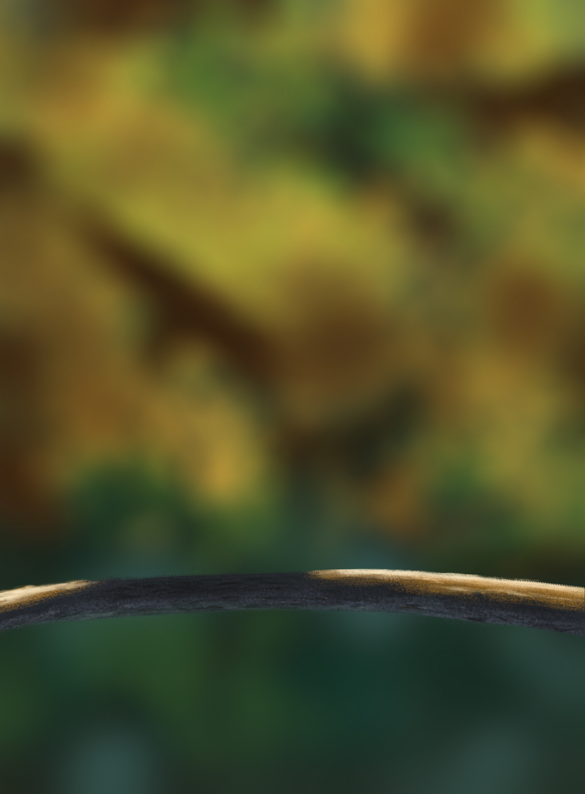 DPS-Prog-1-1-Exercice5-Oiseau-Commenceme