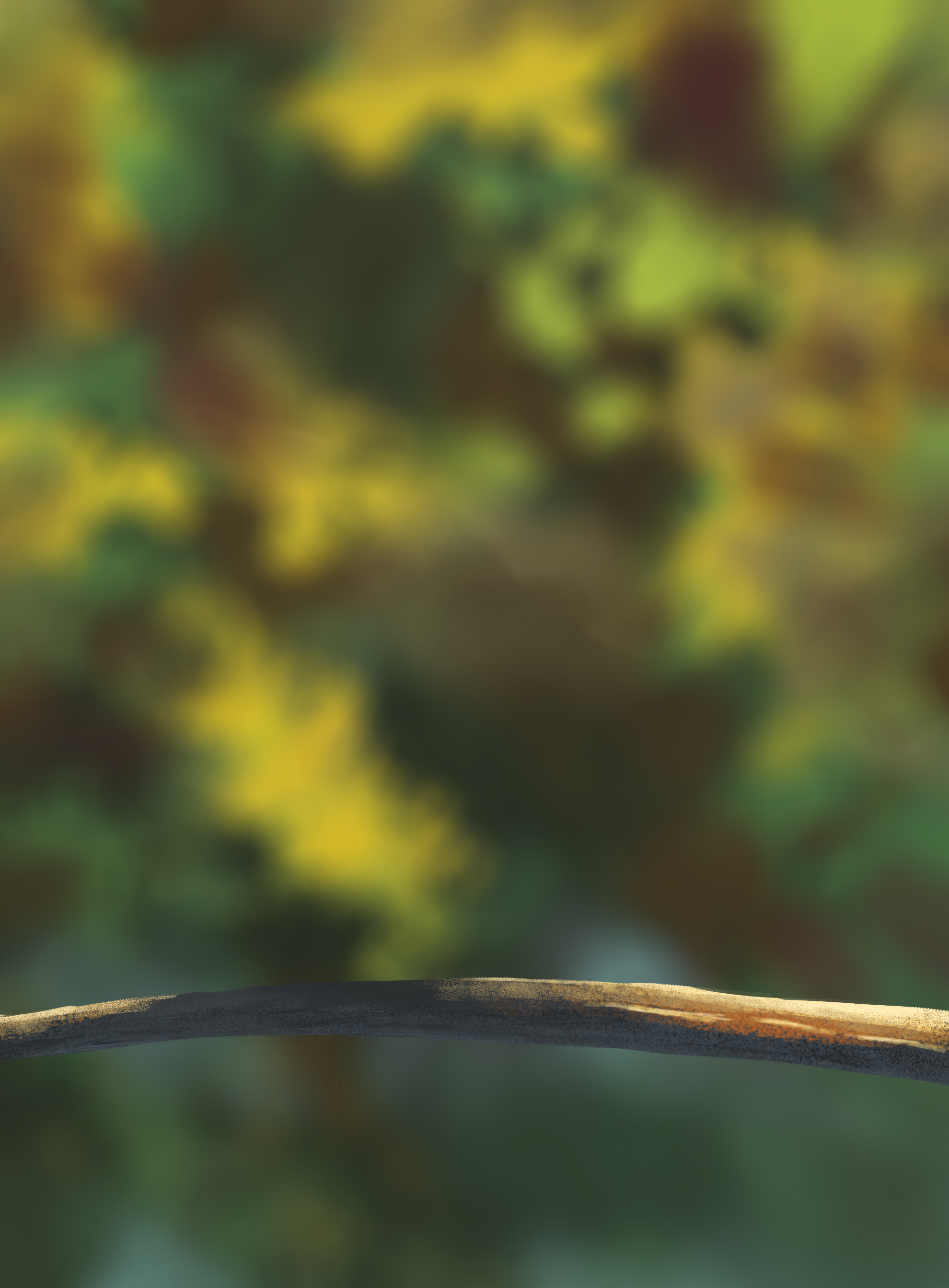 DPS-Prog-1-1-Exercice5-Oiseau-Commenceme