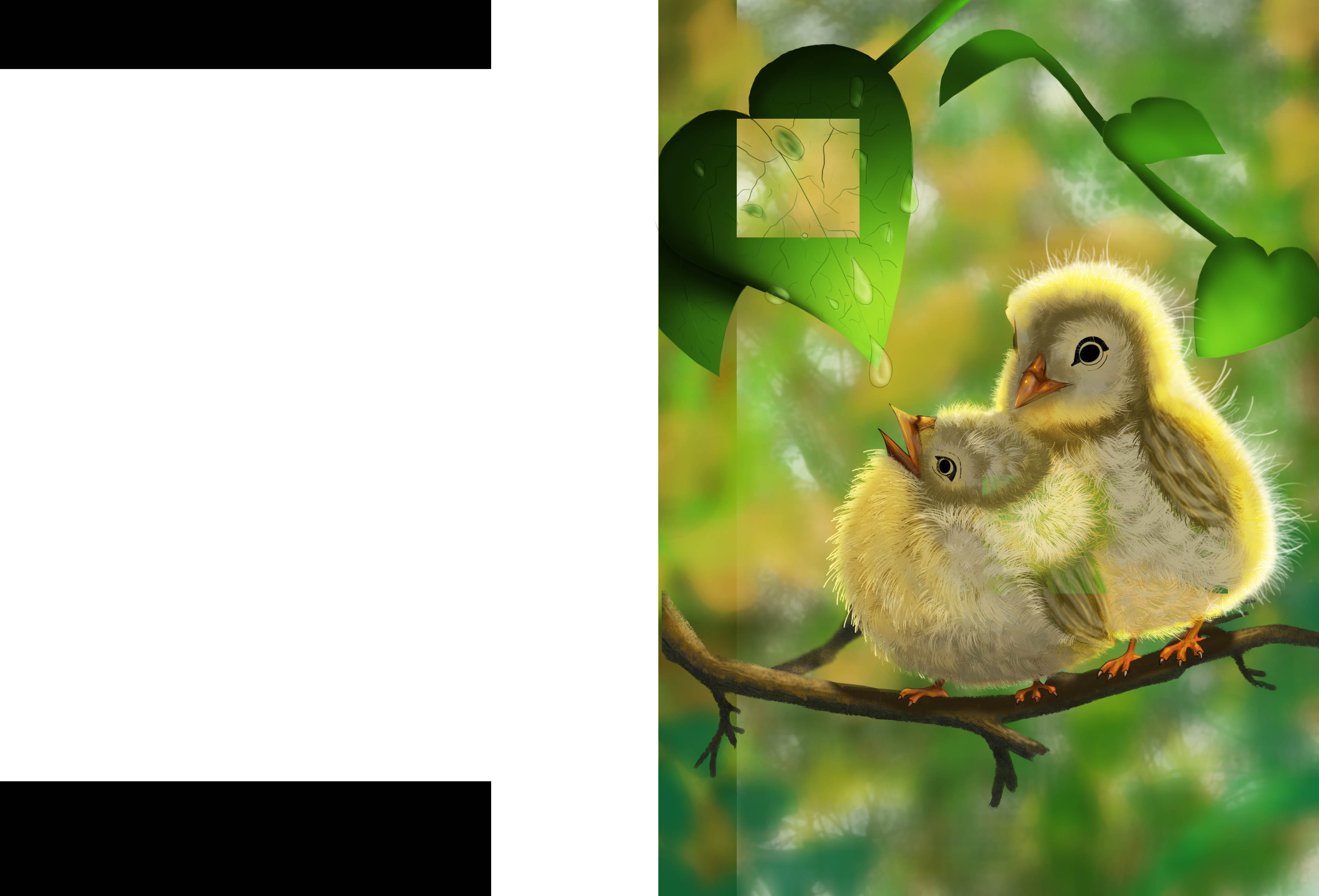 DPS-Prog-1-1-Exercice5-Oiseau-Commenceme