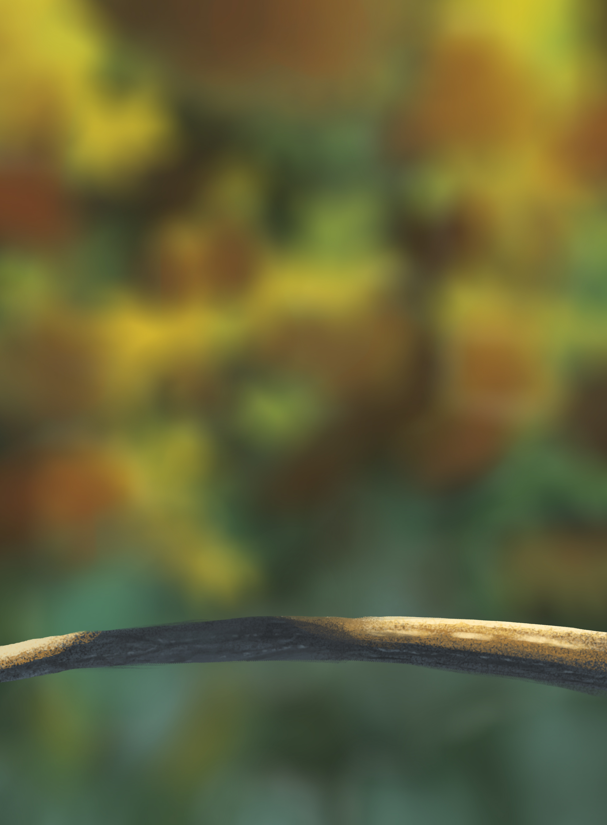 DPS-Prog-1-1-Exercice5-Oiseau-Commenceme