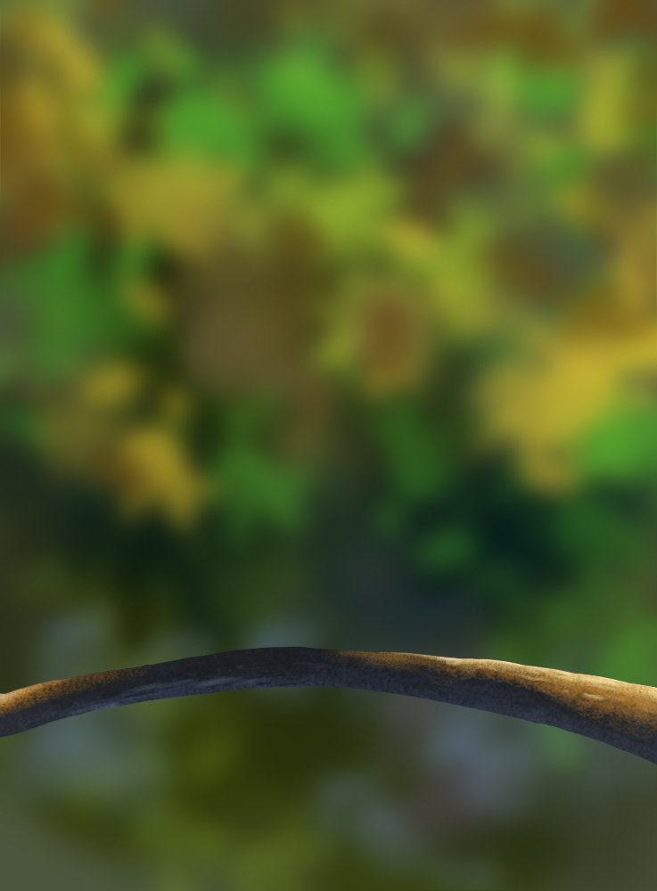 DPS-Prog-1-1-Exercice5-Oiseau-Commenceme