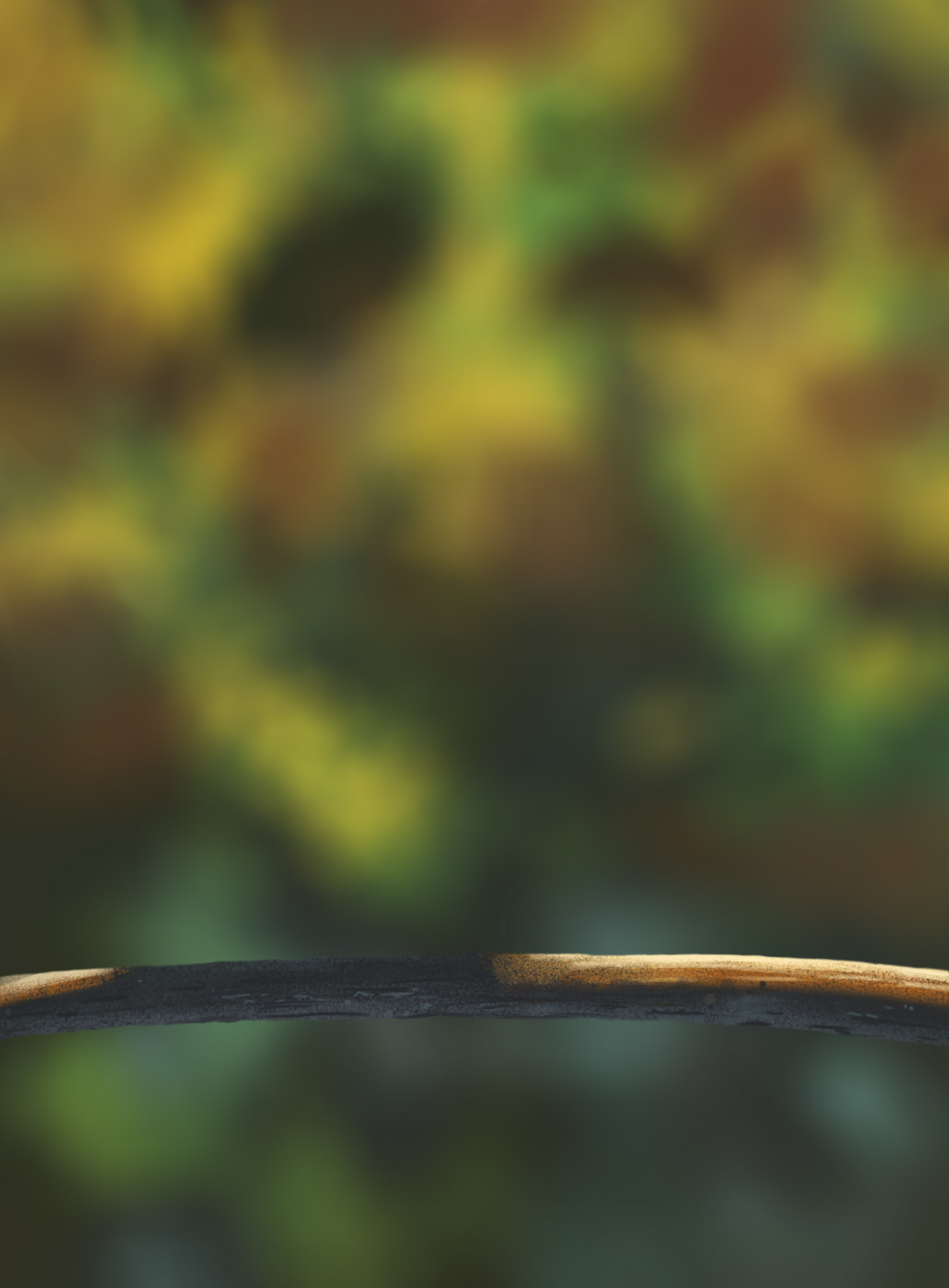 DPS-Prog-1-1-Exercice5-Oiseau-Commenceme