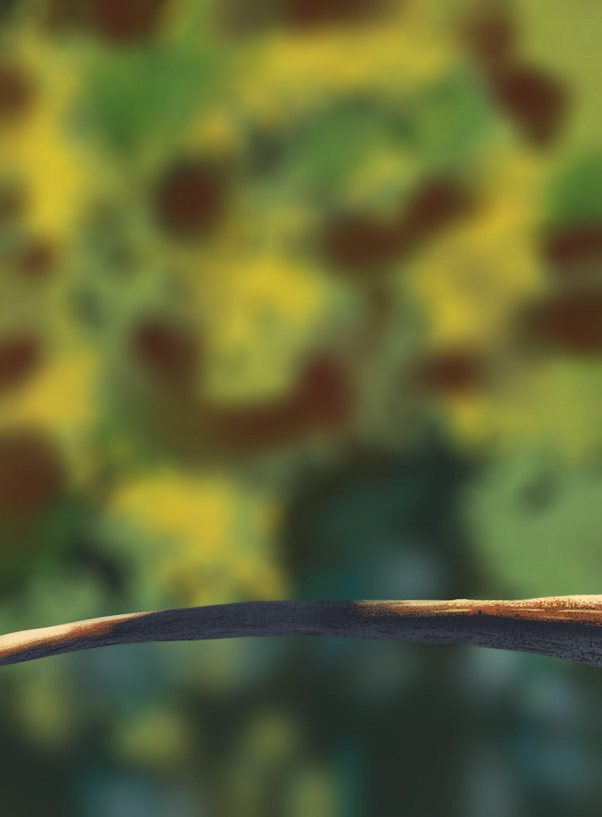 DPS-Prog-1-1-Exercice5-Oiseau-Commenceme