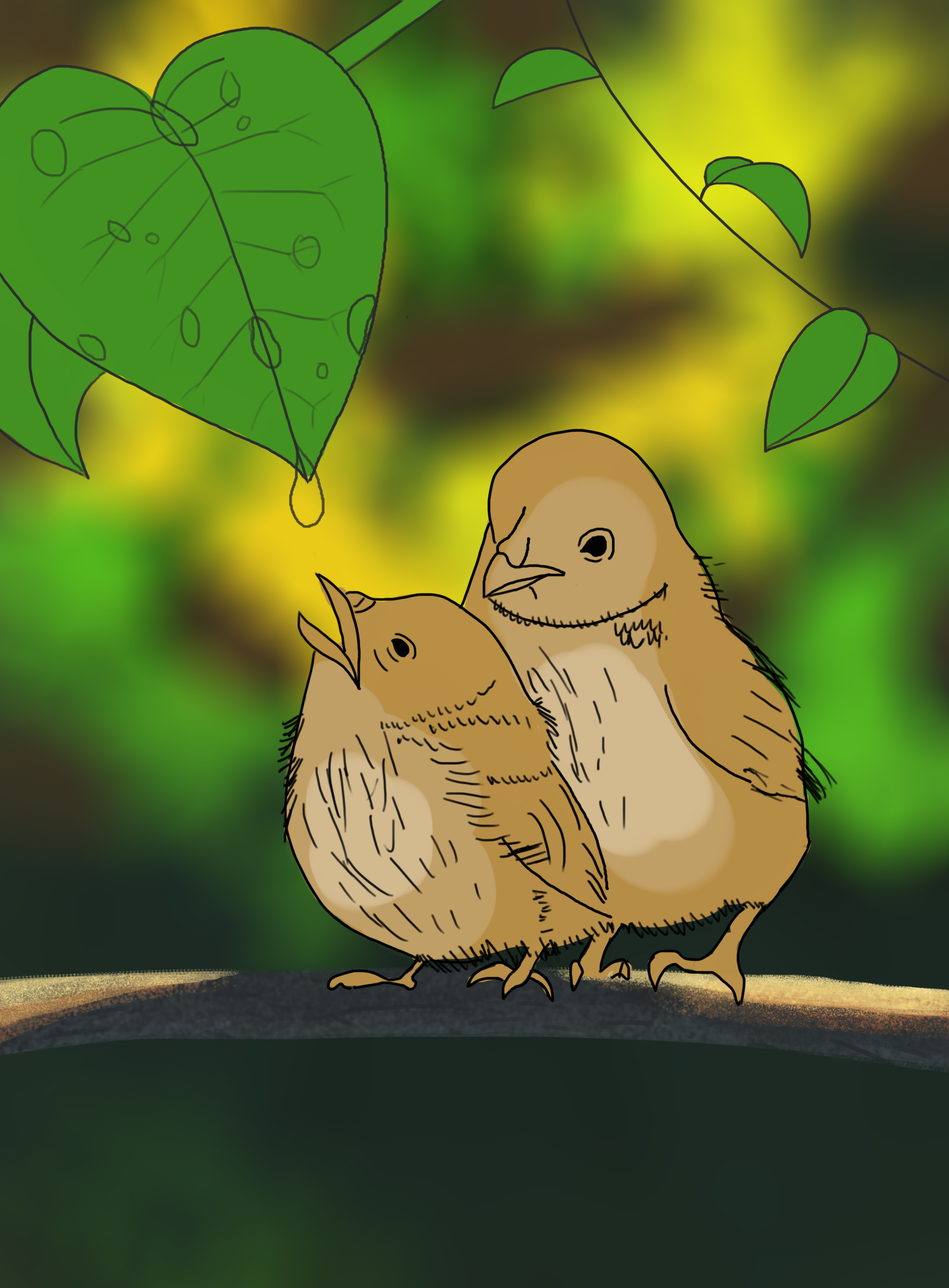 DPS-Prog-1-1-Exercice5-Oiseau-Commenceme