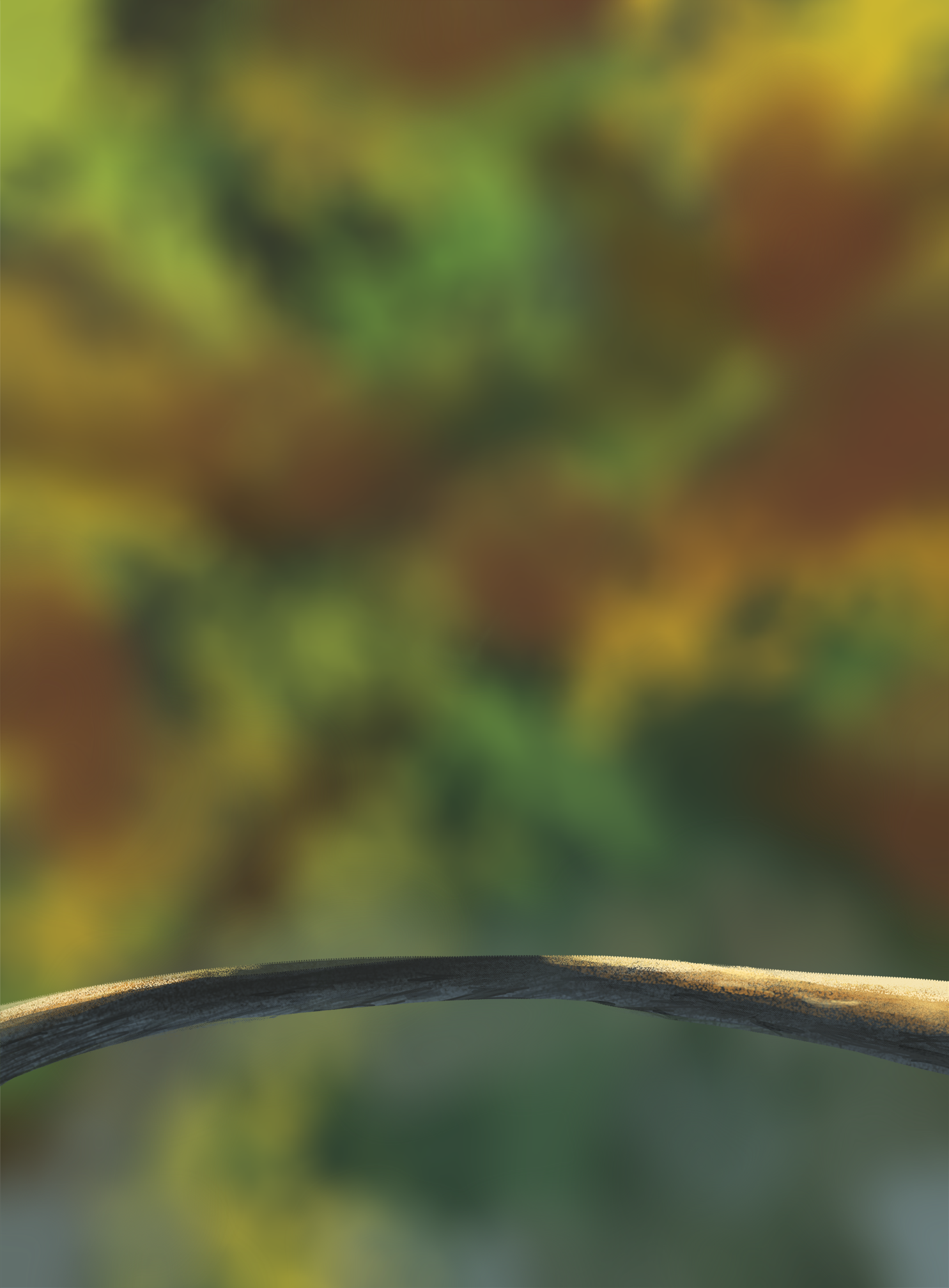 DPS-Prog-1-1-Exercice5-Oiseau-Commenceme