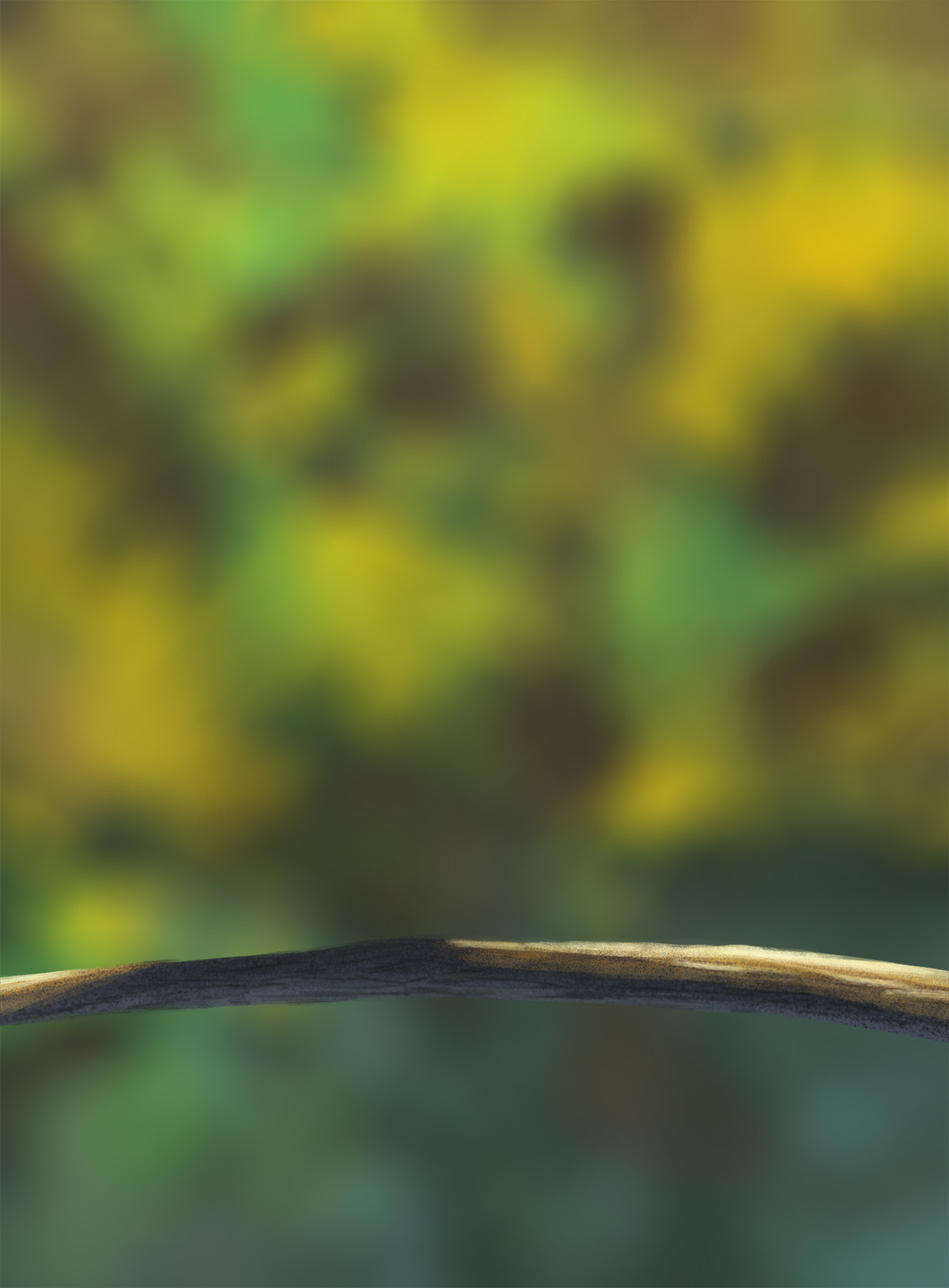 DPS-Prog-1-1-Exercice5-Oiseau-Commenceme