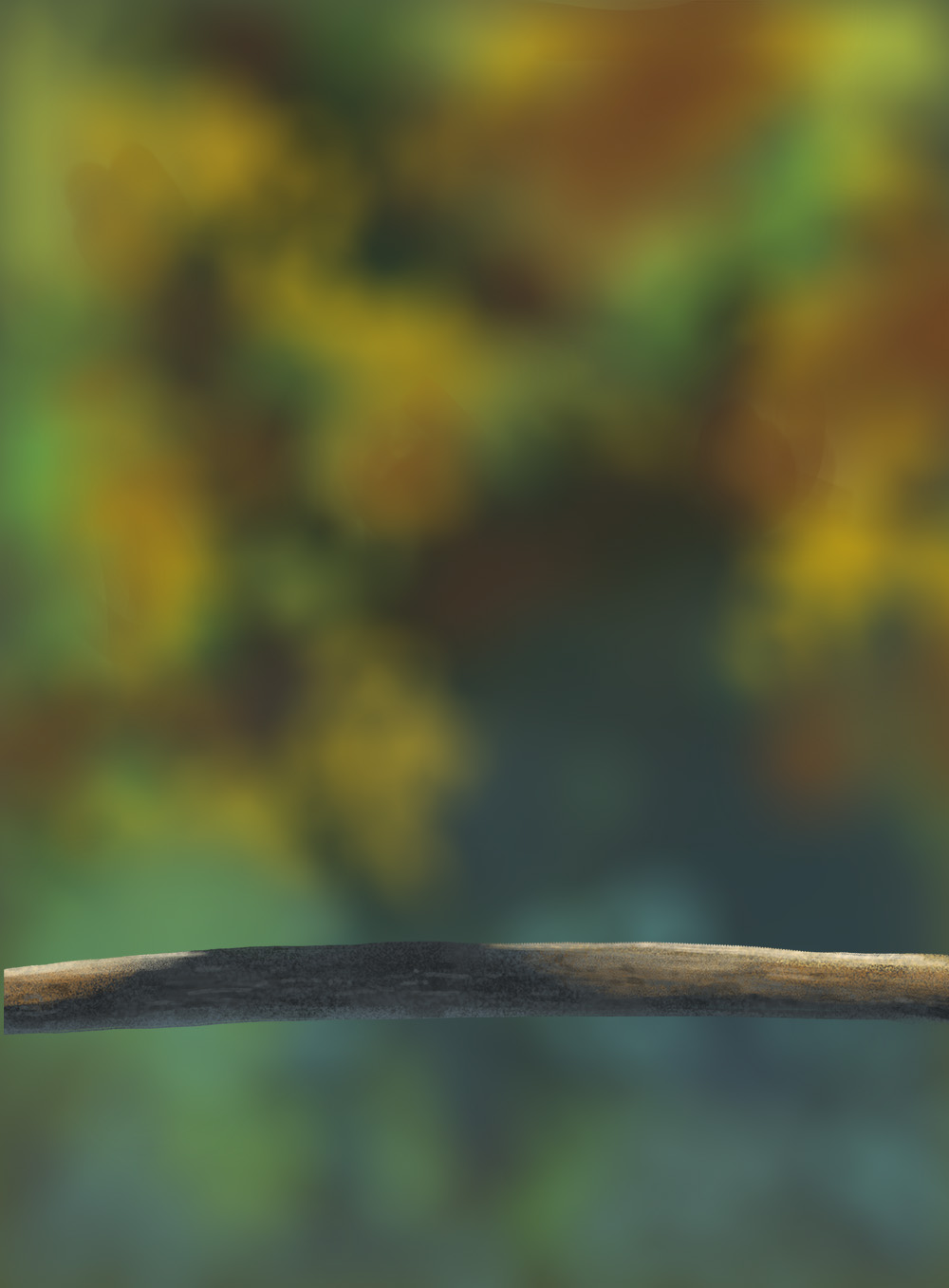 DPS-Prog-1-1-Exercice5-Oiseau-Commenceme