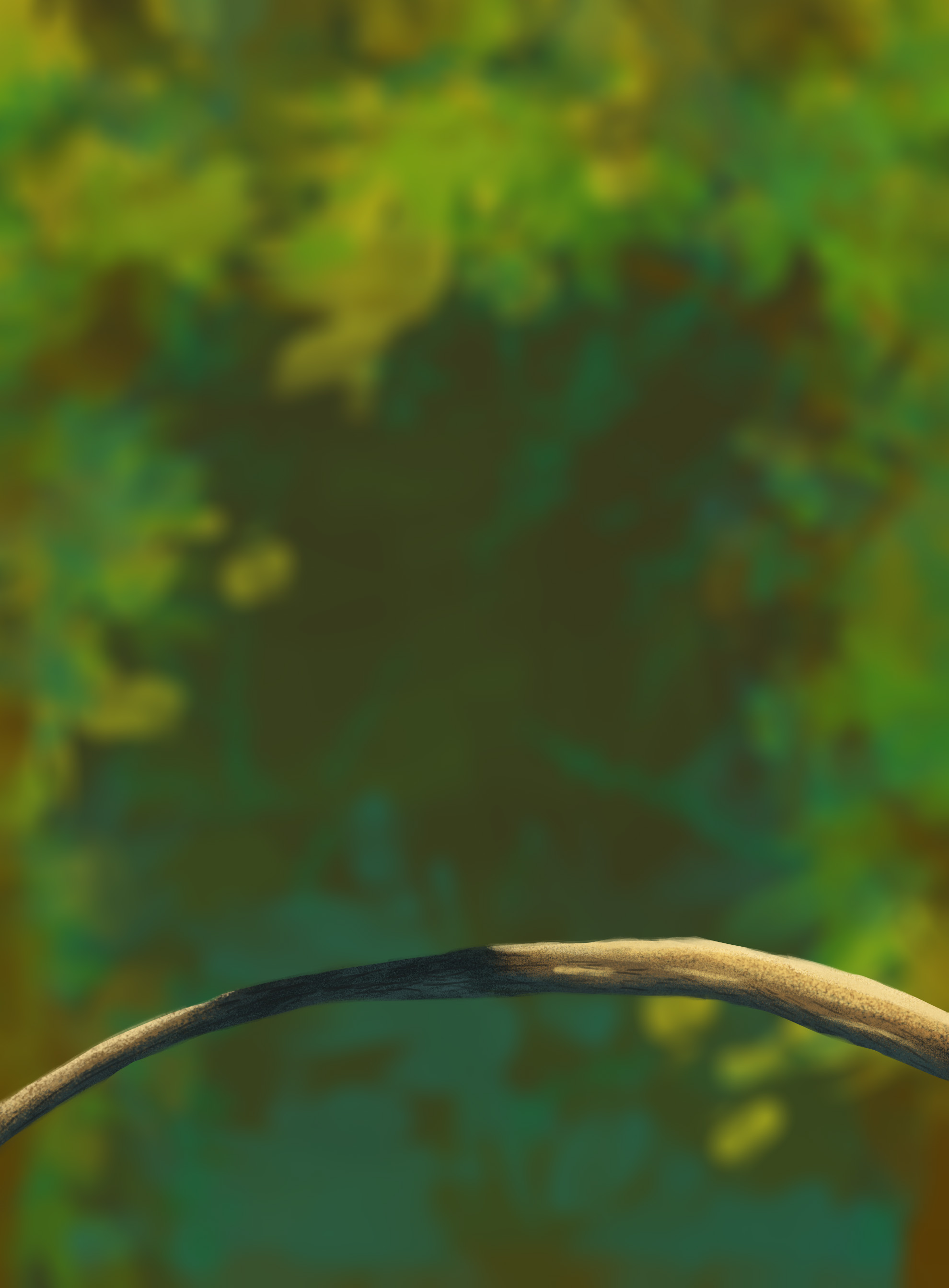 DPS-Prog-1-1-Exercice5-Oiseau-Commenceme