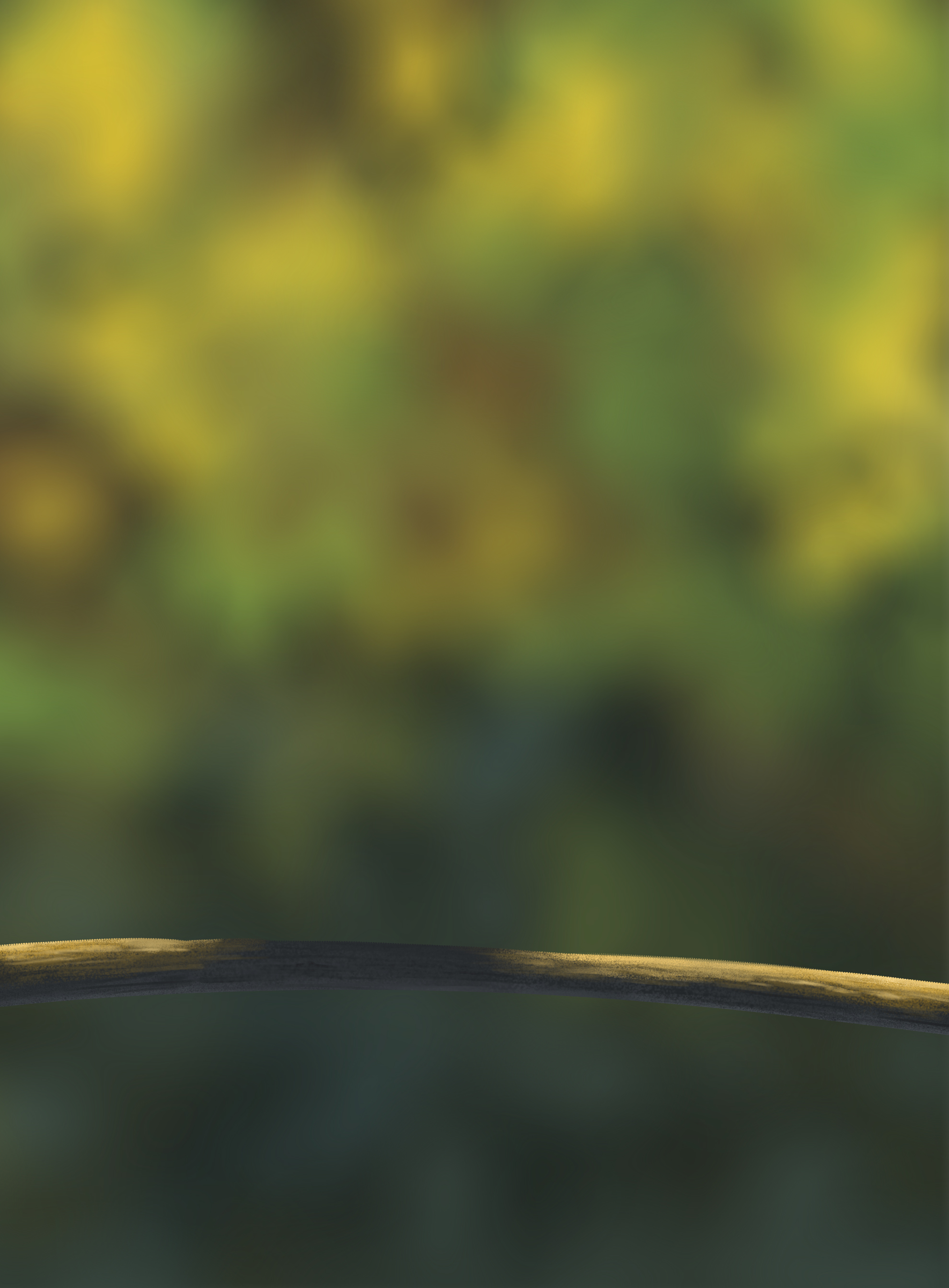 DPS-Prog-1-1-Exercice5-Oiseau-Commenceme