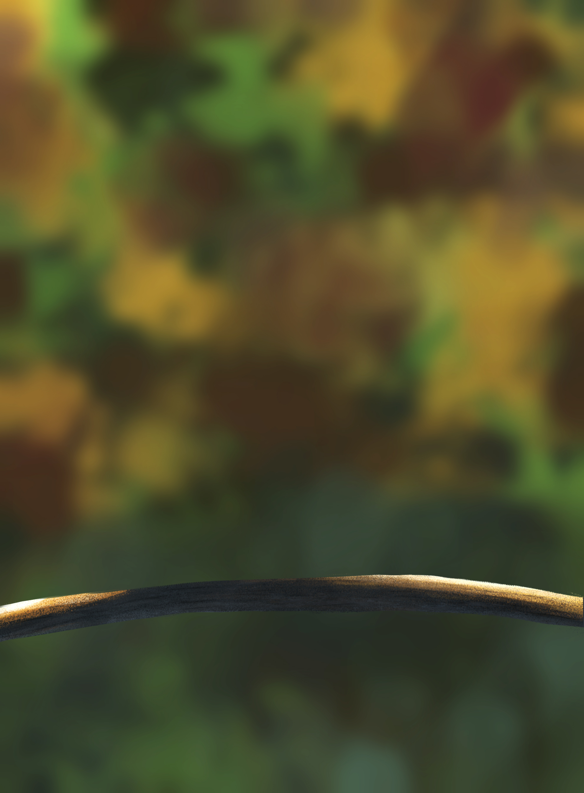 DPS-Prog-1-1-Exercice5-Oiseau-Commenceme