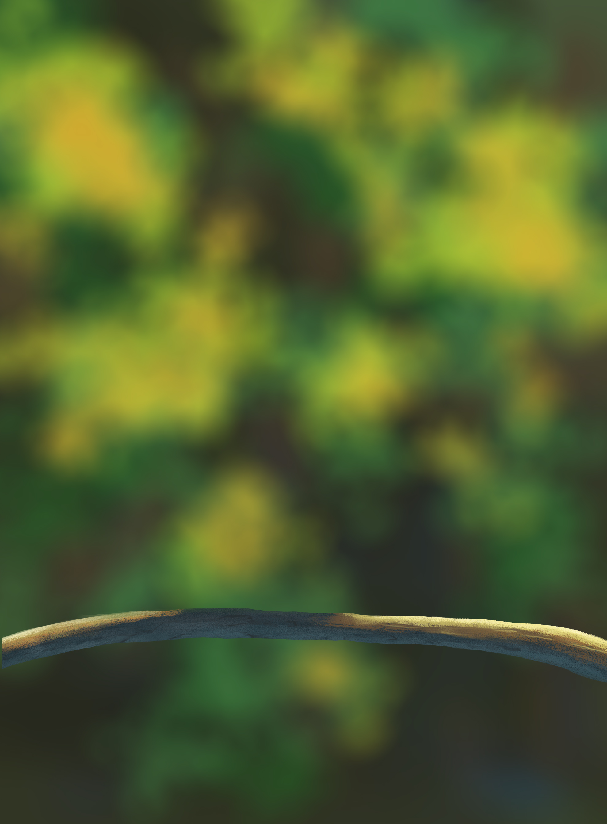 DPS-Prog-1-1-Exercice5-Oiseau-Commenceme