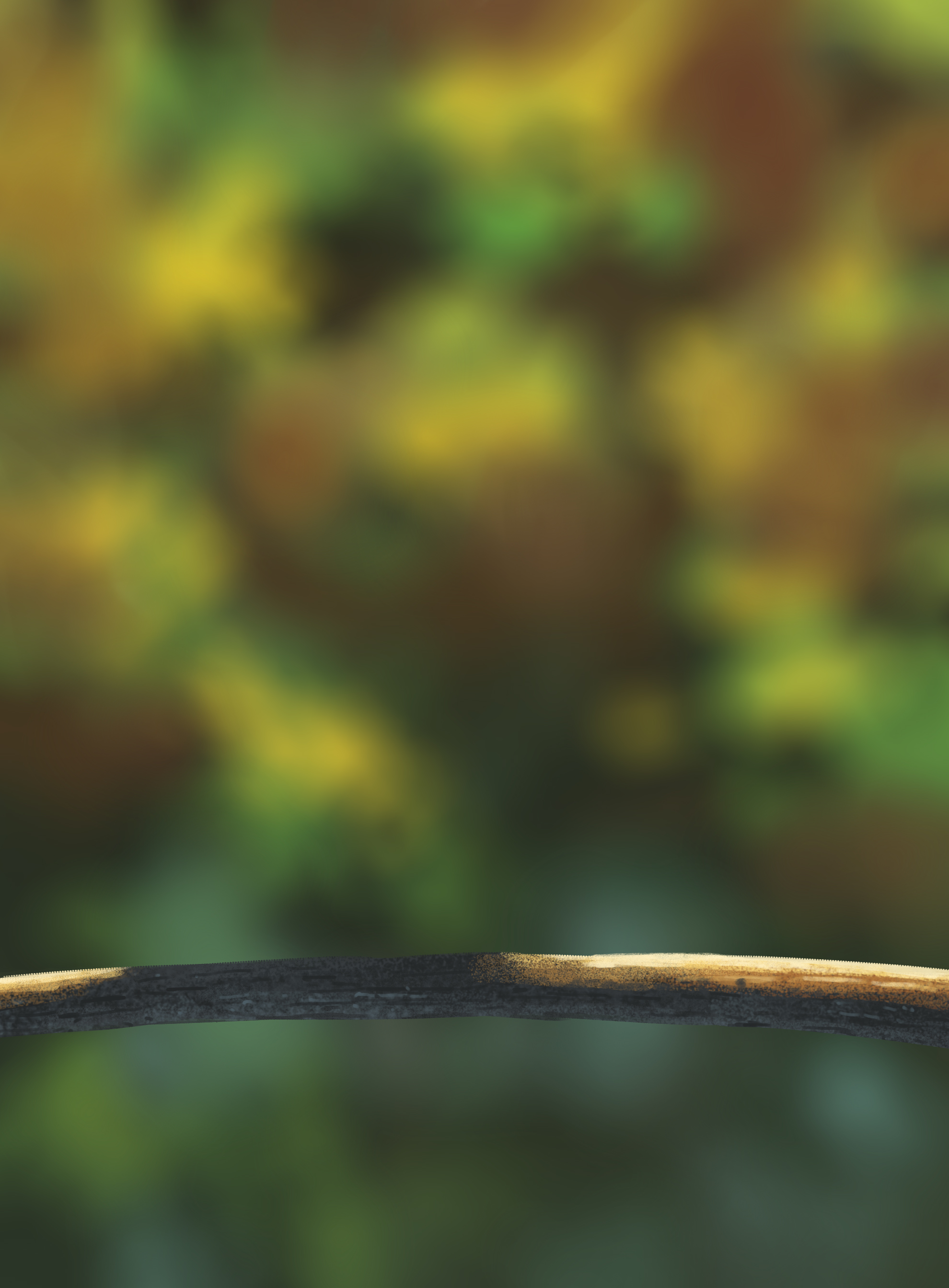 DPS-Prog-1-1-Exercice5-Oiseau-Etape1-7.j