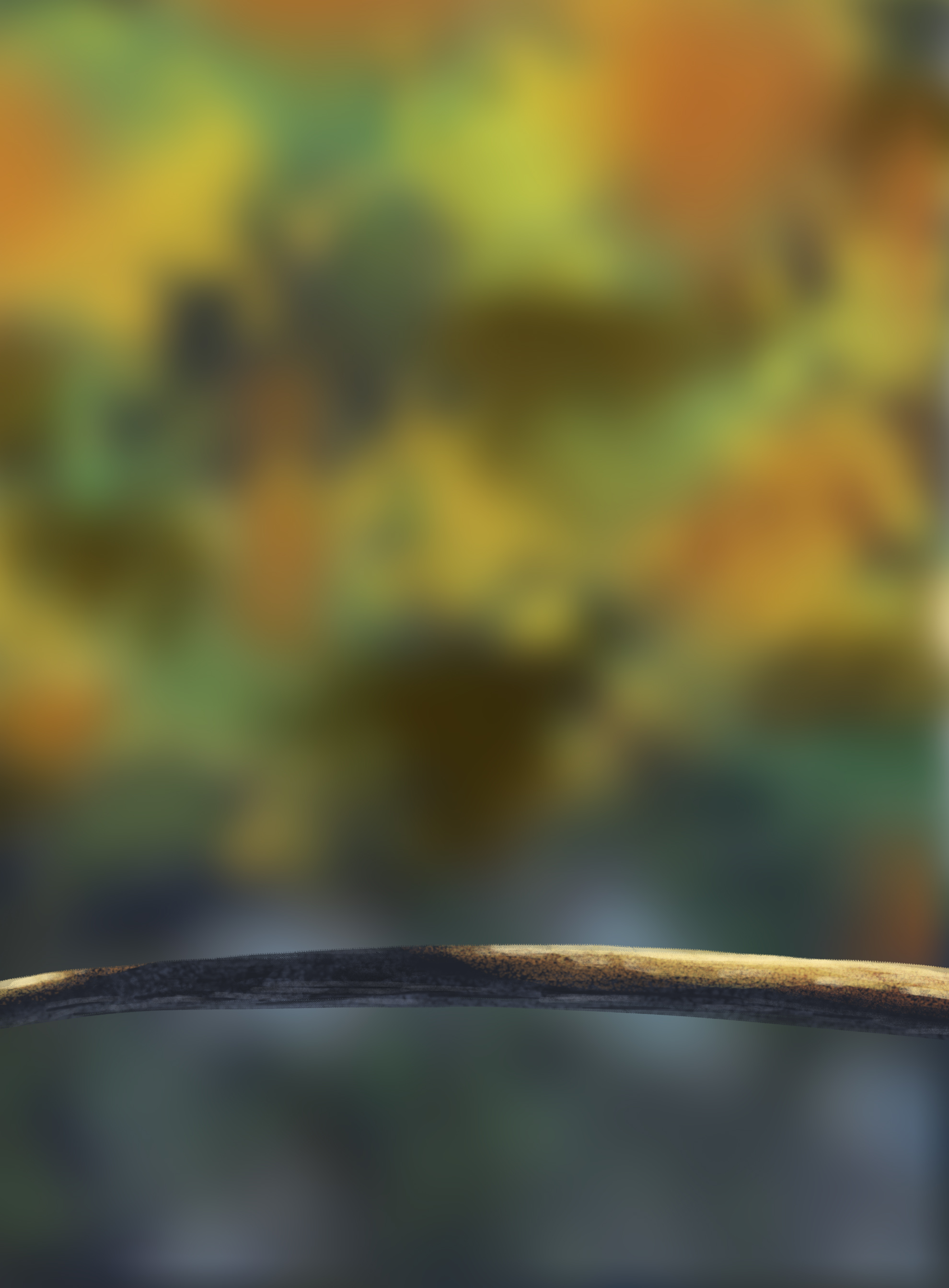 DPS-Prog-1-1-Exercice5-Oiseau-Etape1-par