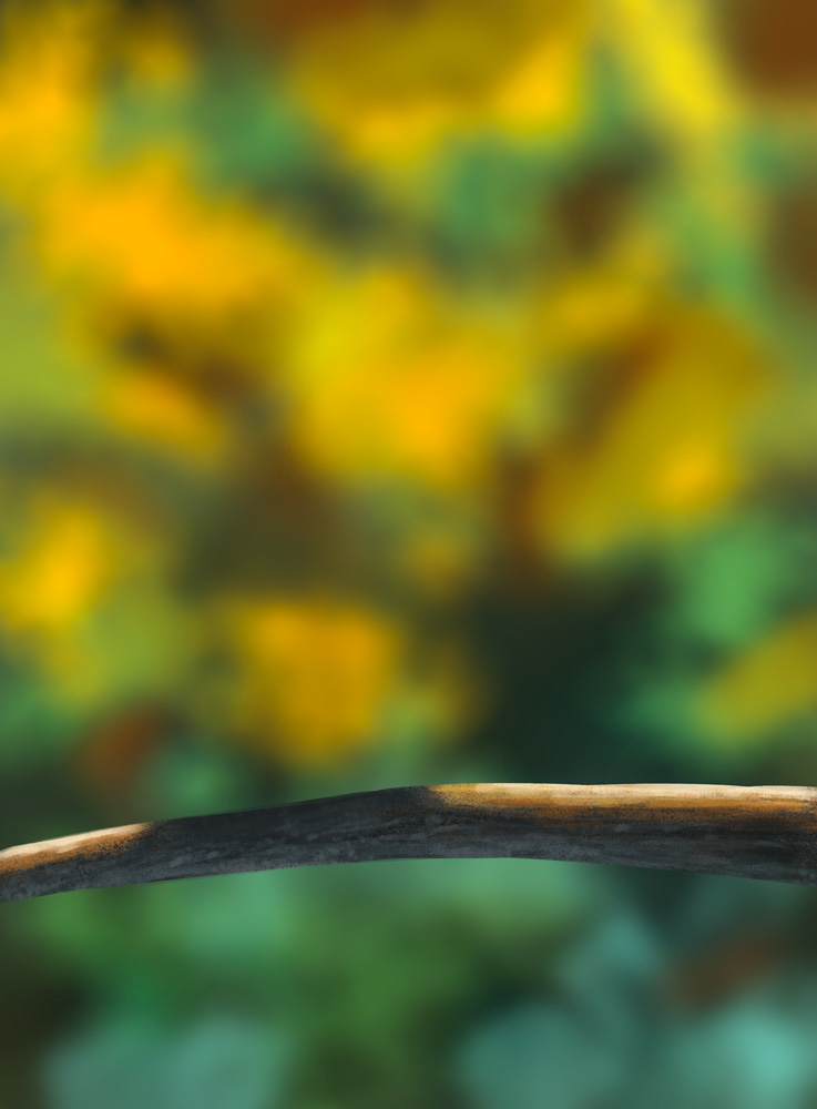 DPS-Prog-1-1-Exercice5-Oiseau-Etape1G-1.