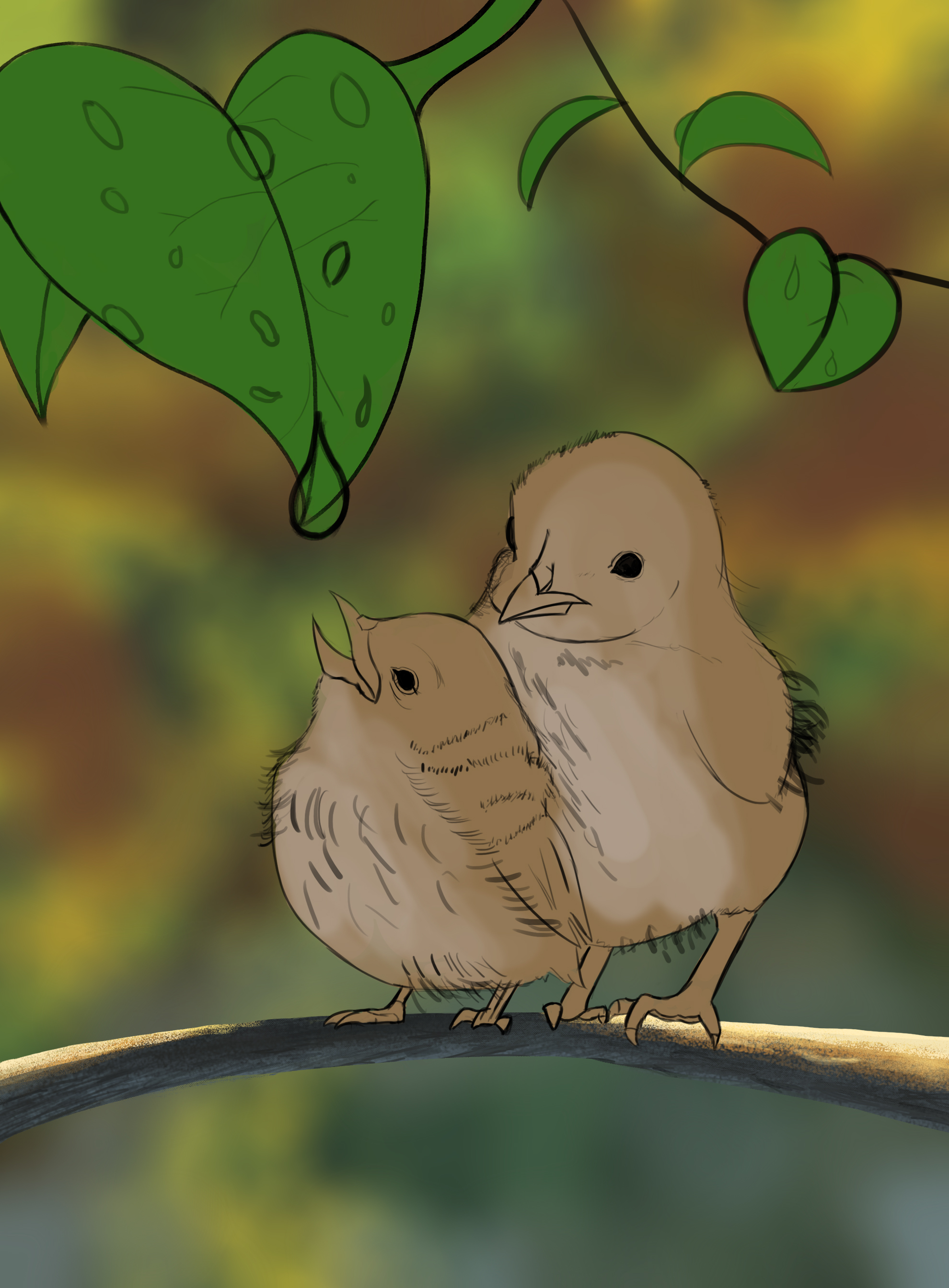 DPS-Prog-1-1-Exercice5-Oiseau-Etape2-fin