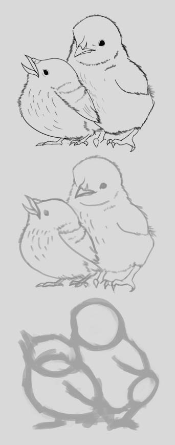 DPS-Prog-1-1-Exercice5-Oiseau-Etape2-mon