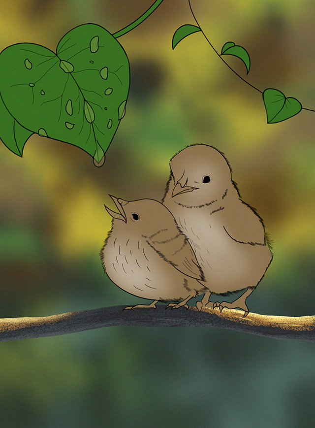 DPS-Prog-1-1-Exercice5-Oiseau-Etape2-mon