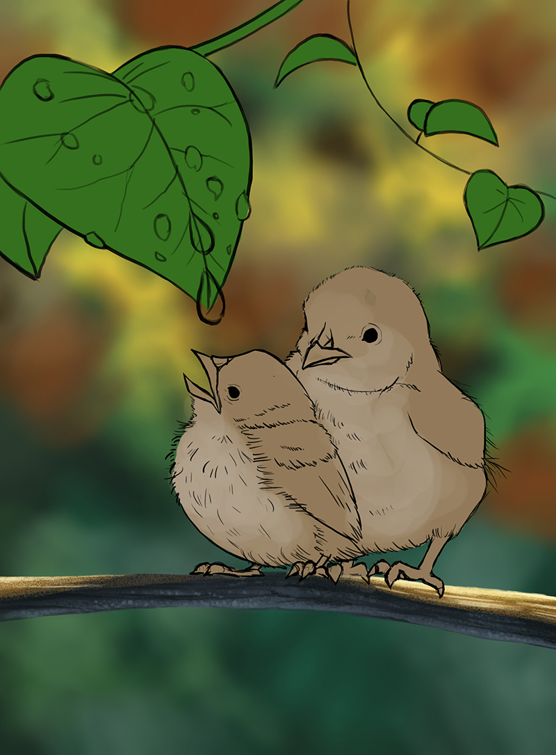 DPS-Prog-1-1-Exercice5-Oiseau-Etape2_Car