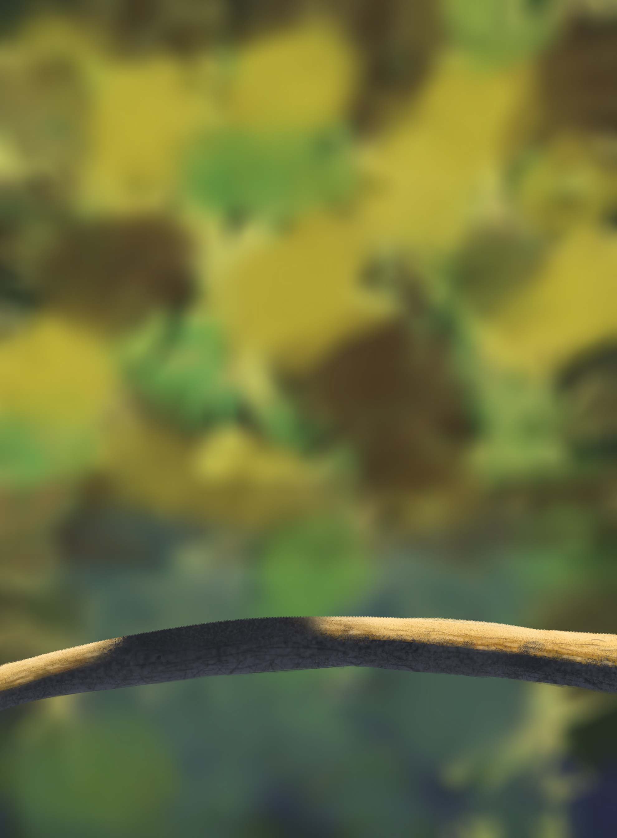 DPS-Prog-1-1-Exercice5-Oiseau-ganakel-1.