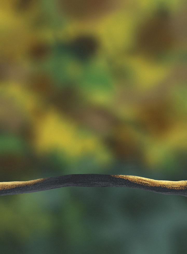 DPS-Prog-1-1-Exercice5-Oiseau-mon-exo.jp