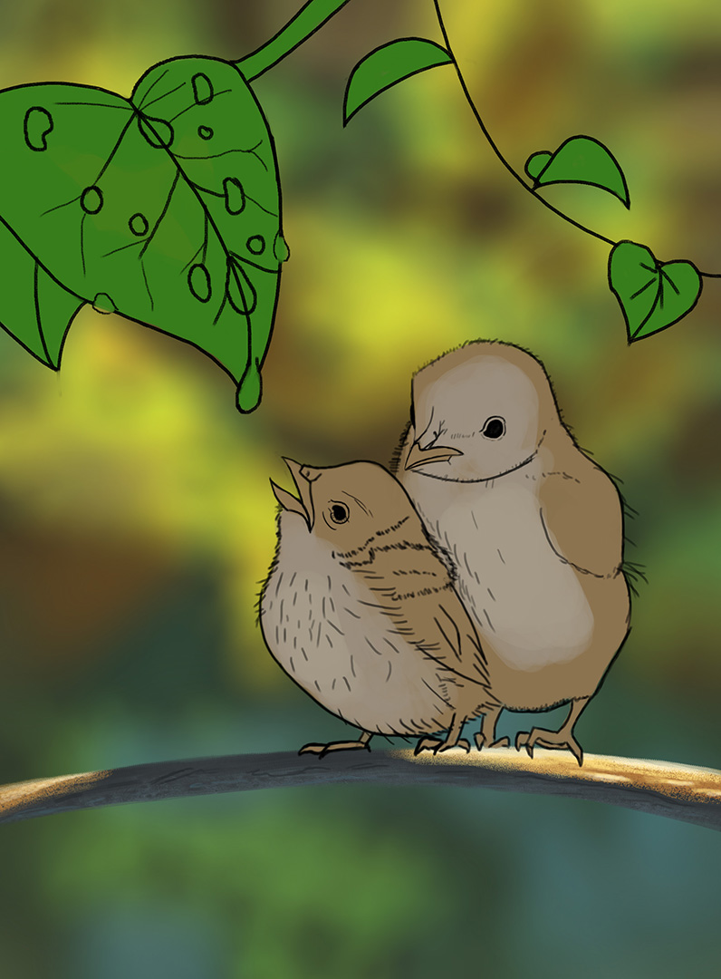 DPS-Prog-1-1-Exercice5-Oisillons-Etape-2