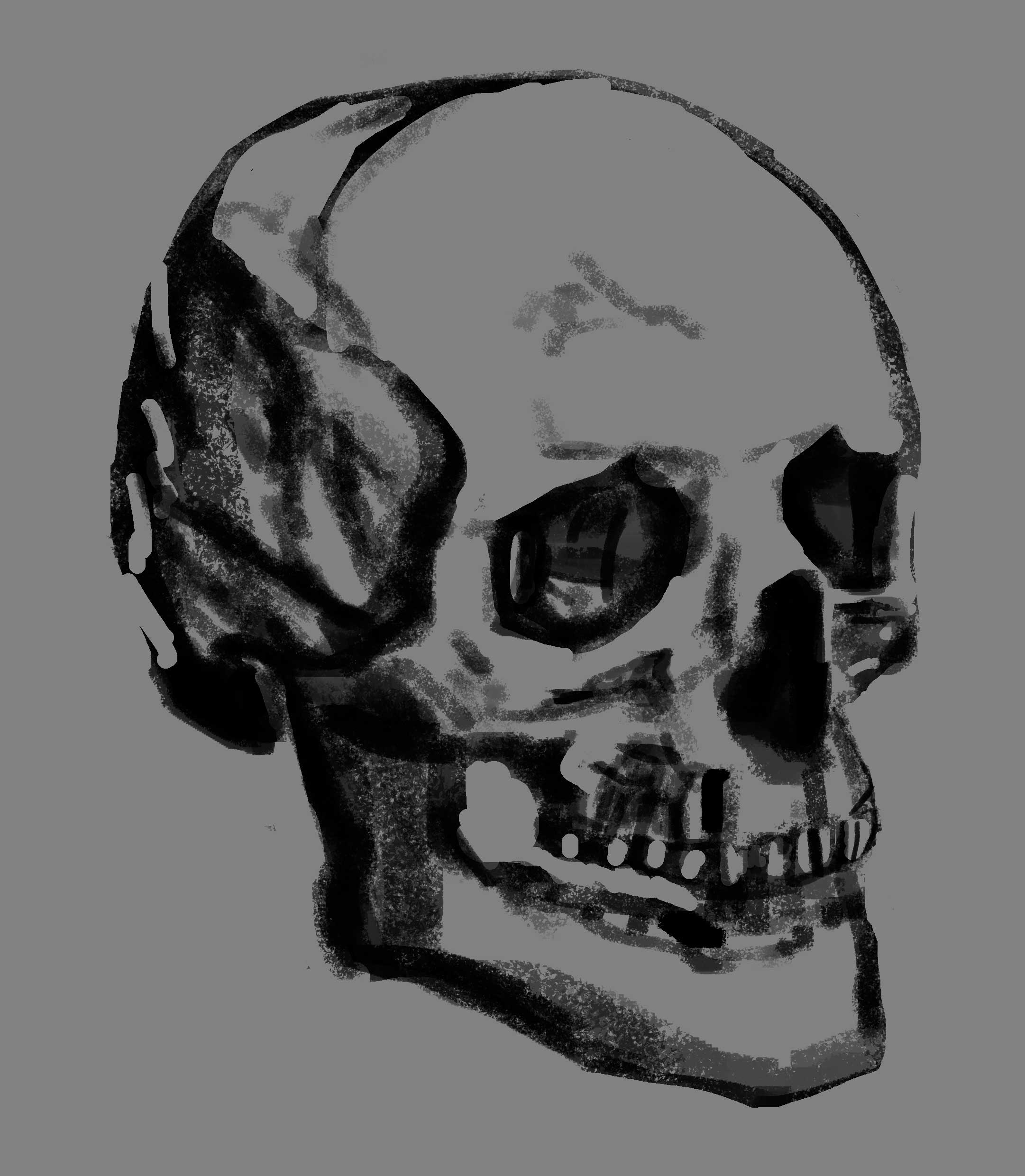 DPS-Prog-1-2-2-crane-croquis-Balleperdue