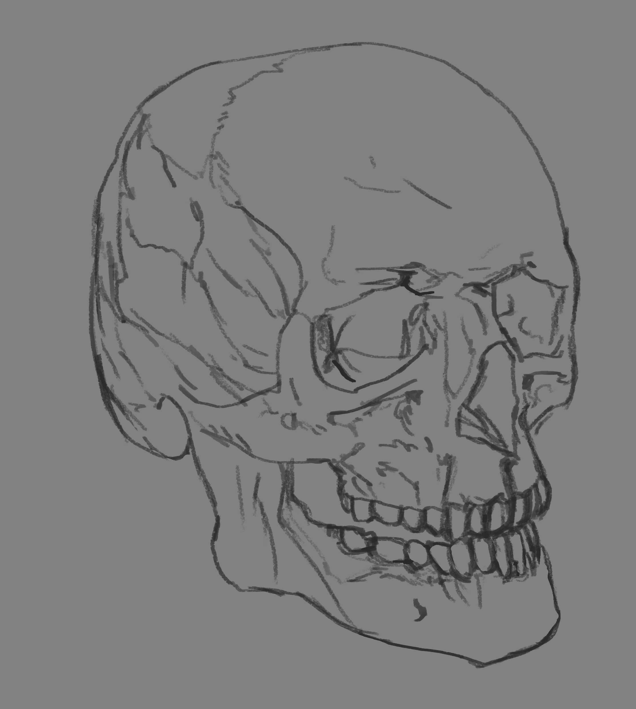 DPS-Prog-1-2-2-crane-croquis-Balleperdue