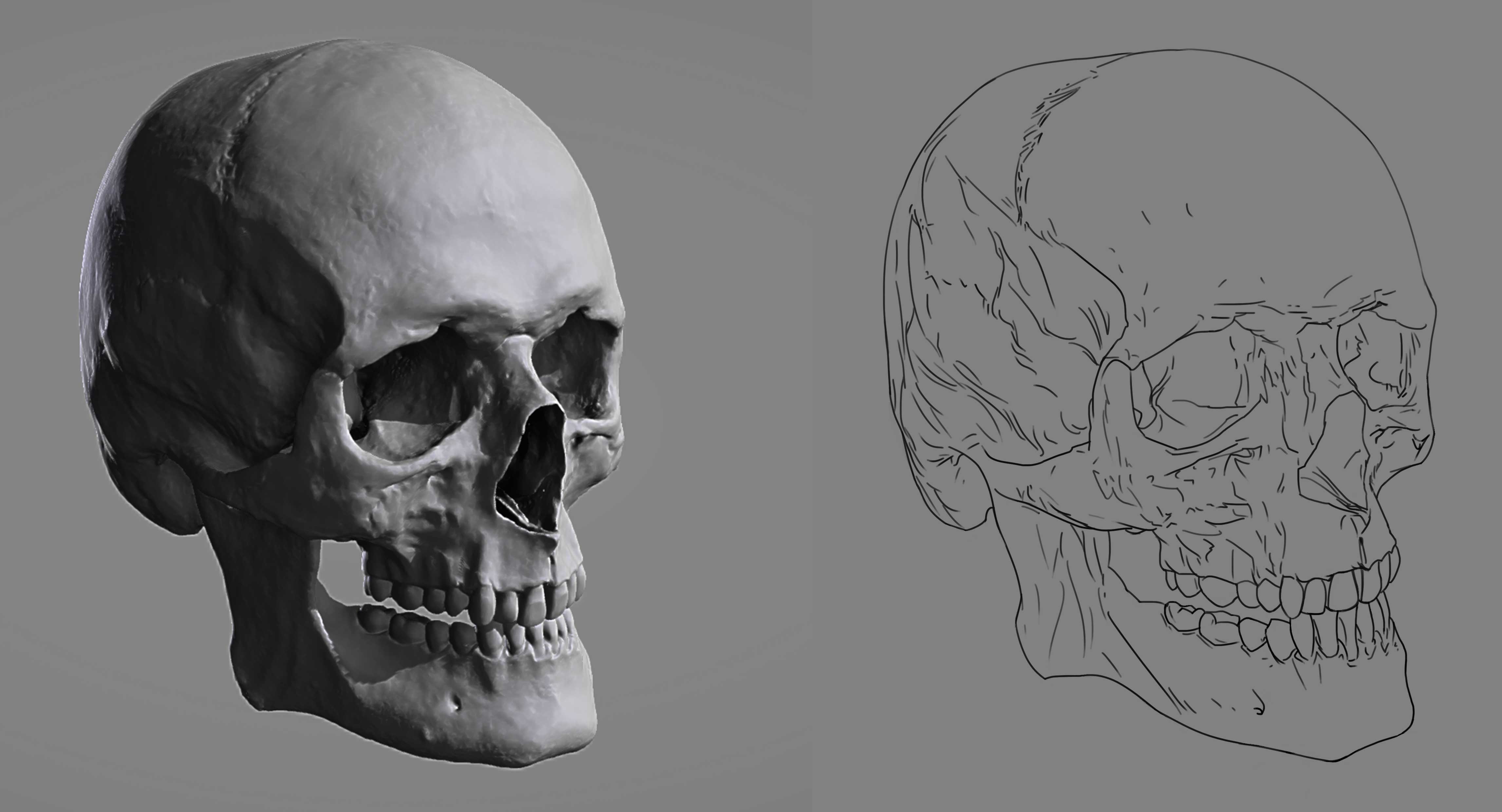 DPS-Prog-1-2-2-crane-croquis-Balleperdue