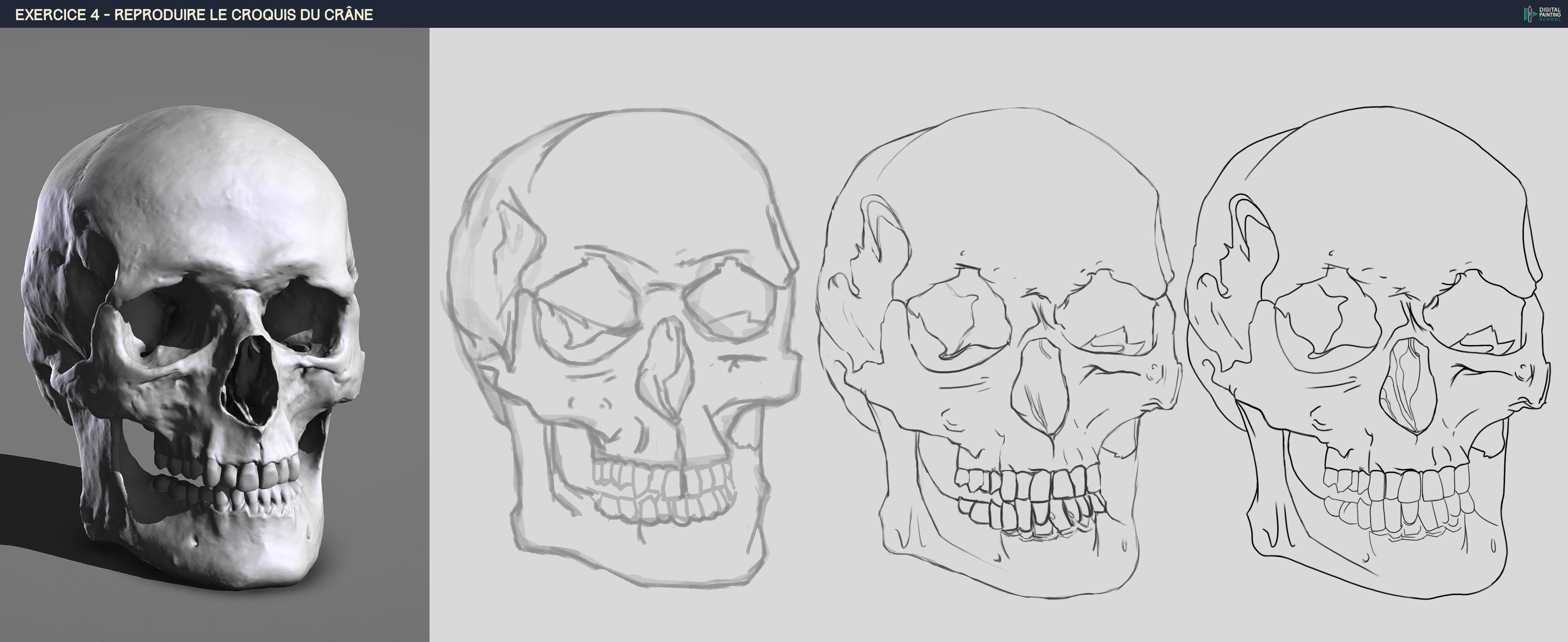 DPS-Prog-1-2-2-d%C3%A9mo-crane-croquis-1