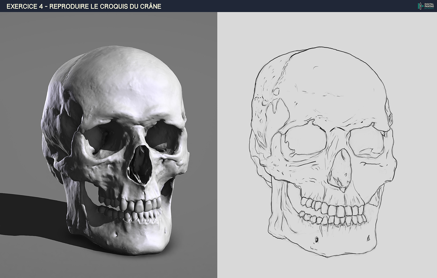 DPS-Prog-1-2-2-d%C3%A9mo-crane-croquis-4