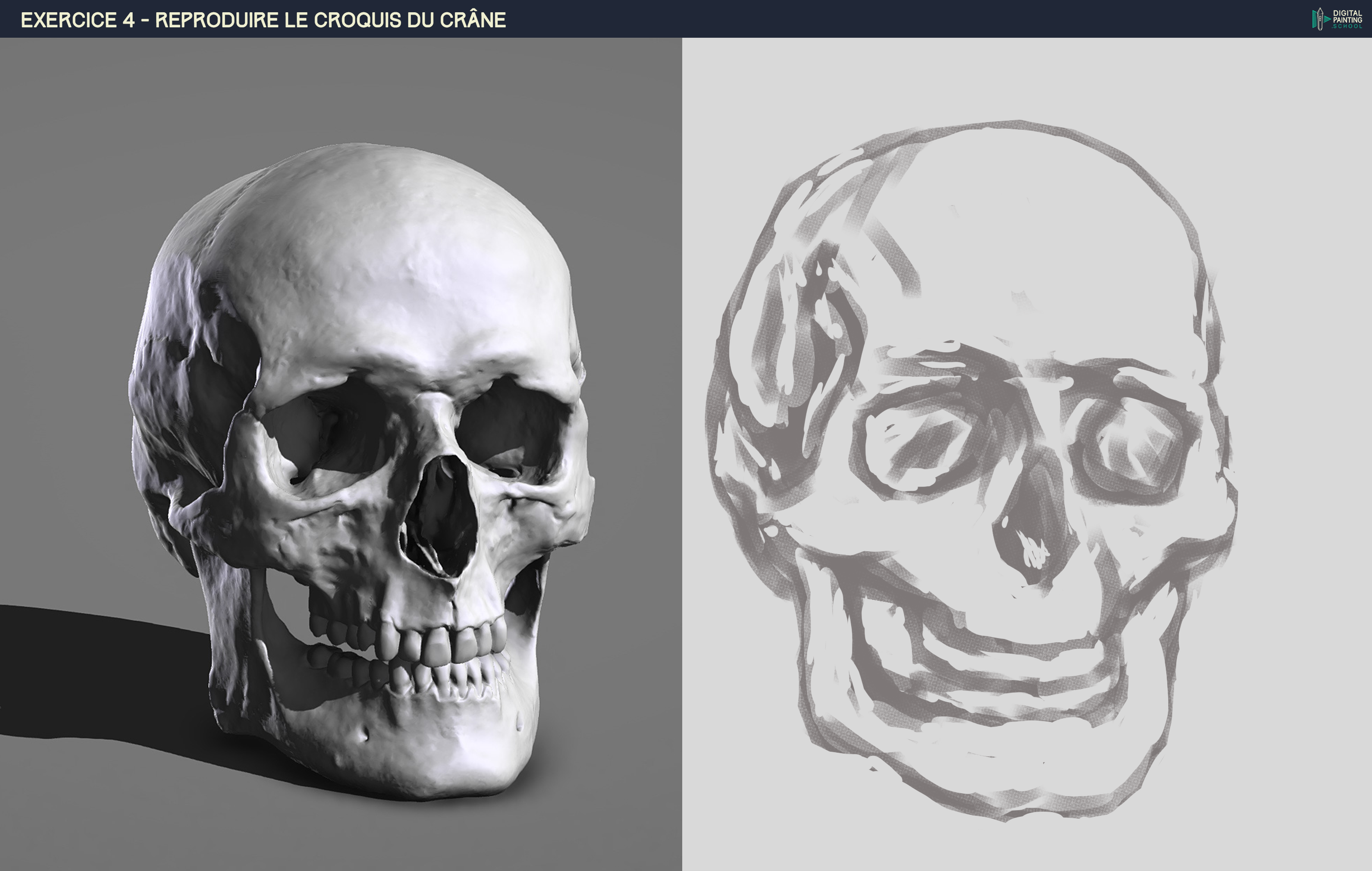 DPS-Prog-1-2-2-démo-crane-croquis-Lau-lo-v1.png