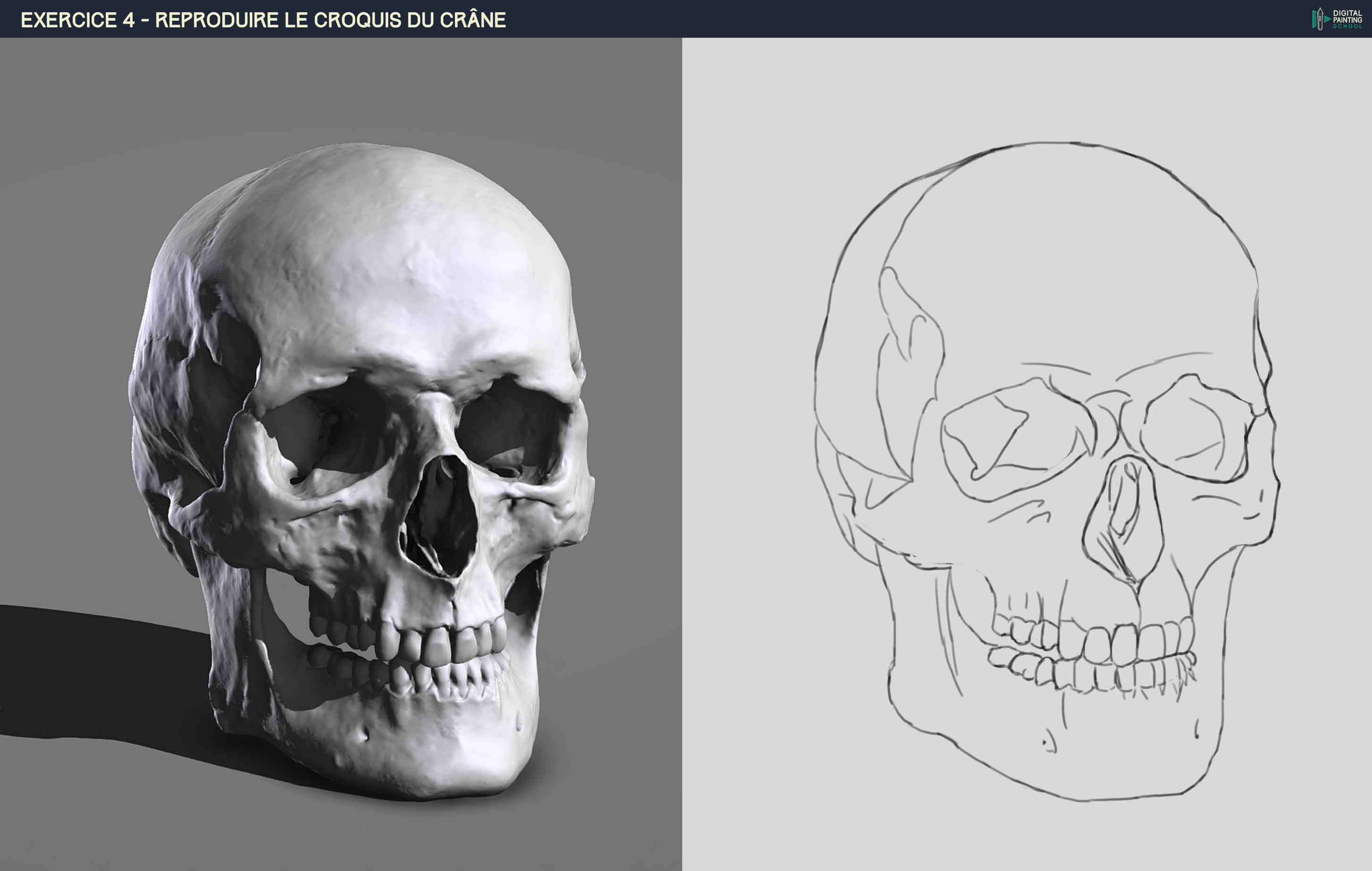 DPS-Prog-1-2-2-d%C3%A9mo-crane-croquis-g