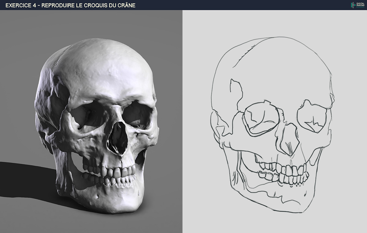 DPS-Prog-1-2-2-d%C3%A9mo-crane-croquis5.