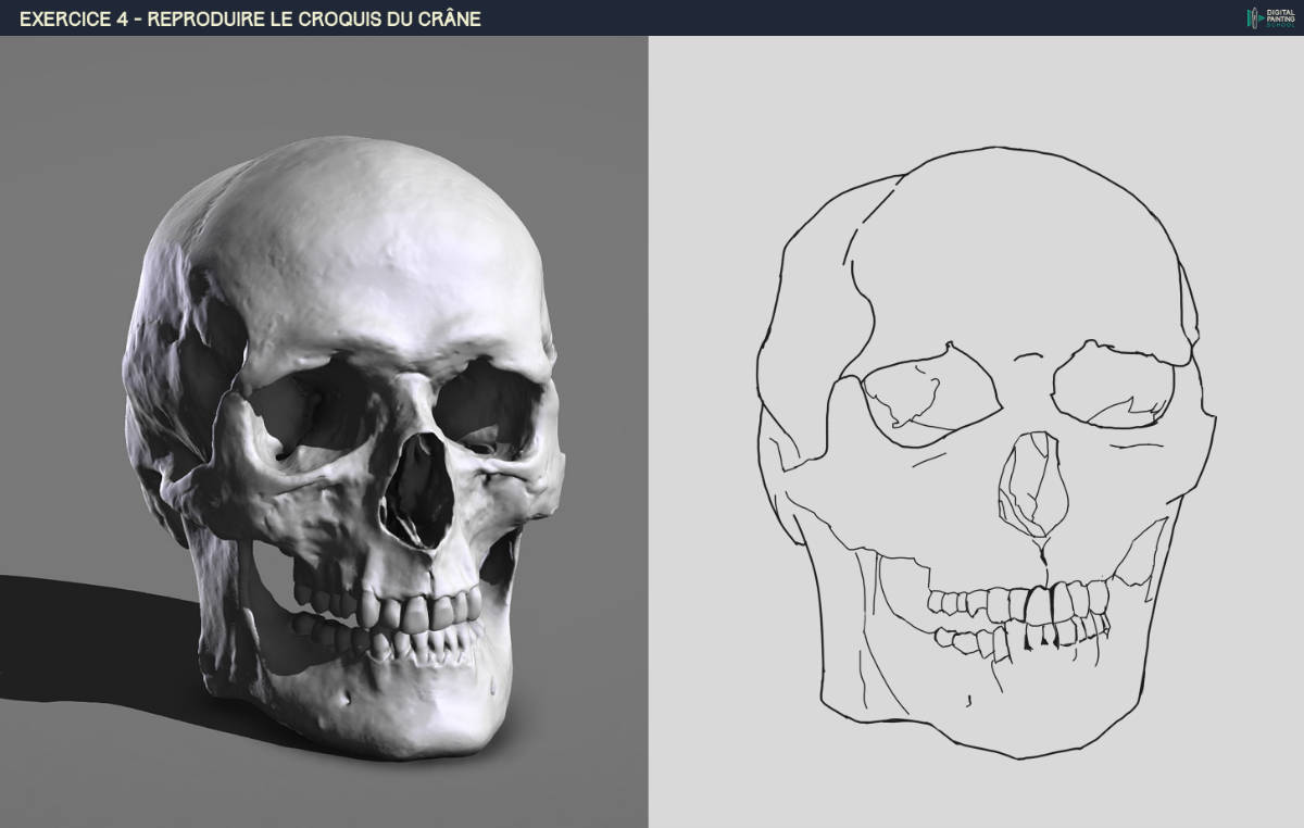 DPS-Prog-1-2-2-dmo-crane-croquis-final.j