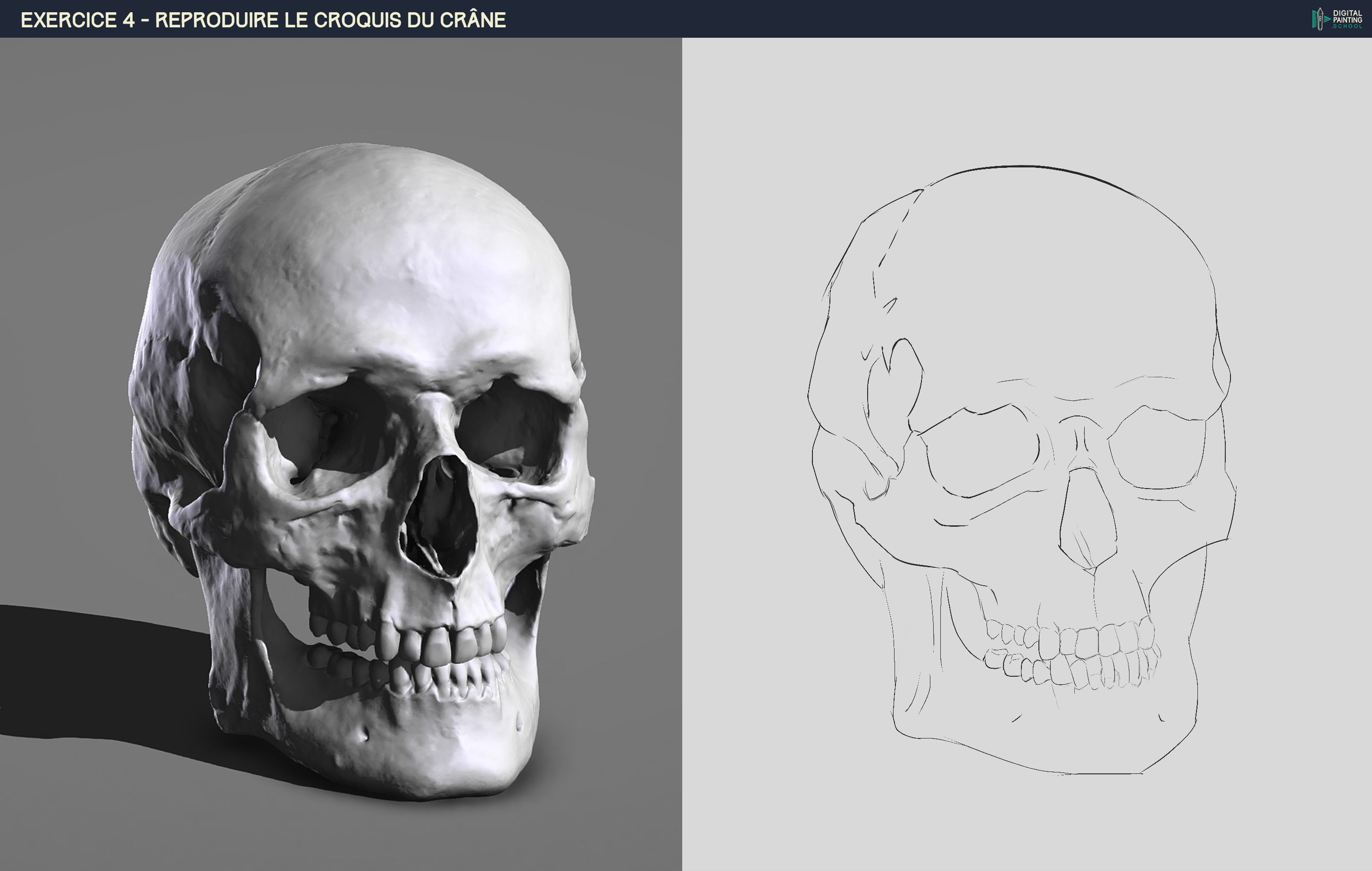 DPS-Prog-1-2-2-dmo-crane-croquis-yst.jpg