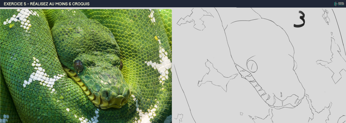 DPS-Prog-1-2-exercice5-3-correction-1.jp