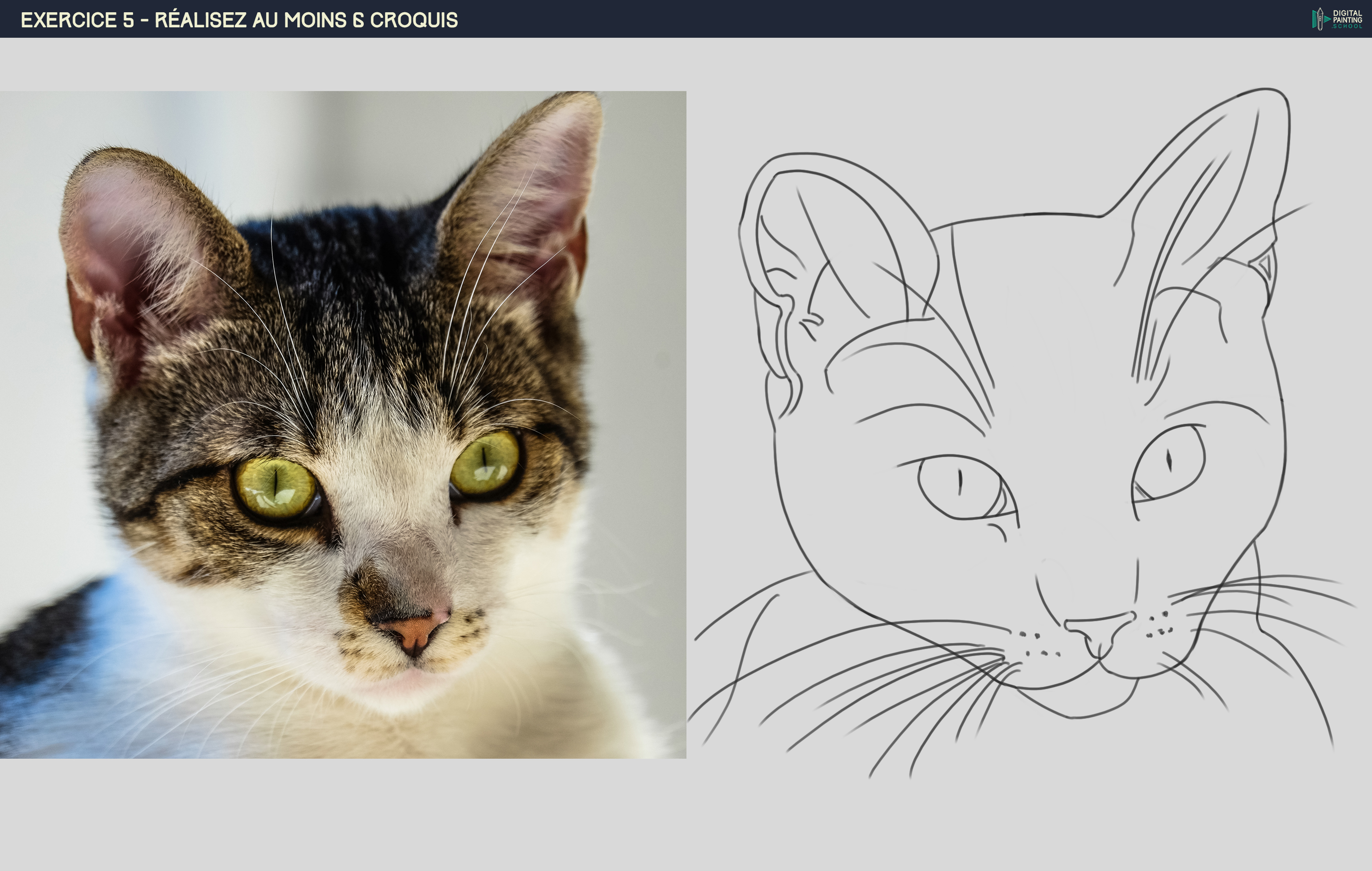 DPS-Prog-1-2-exercice5_Cat_20160203_VDL.