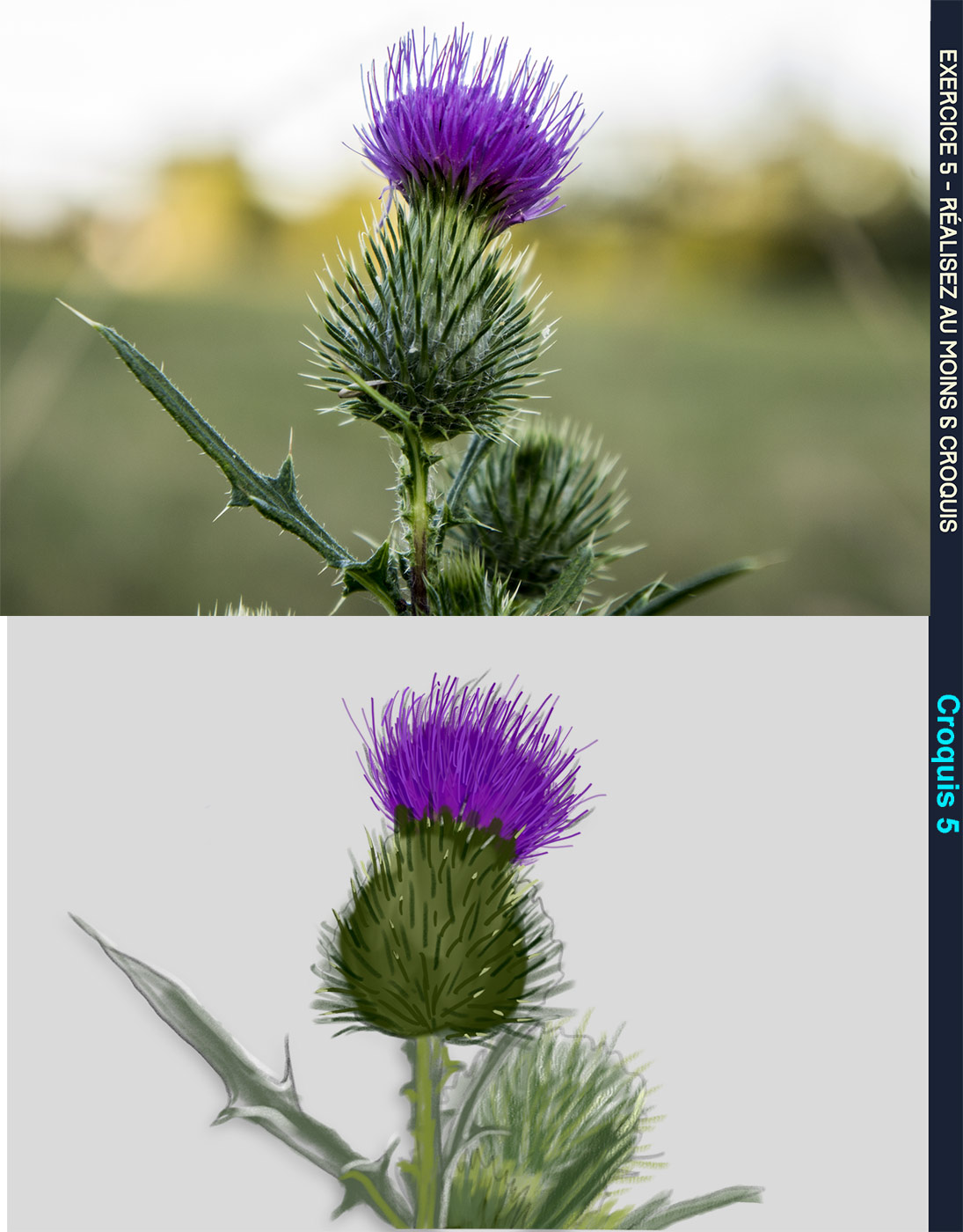 DPS-Prog-1-2-exercice5croq5smKrikette.jp