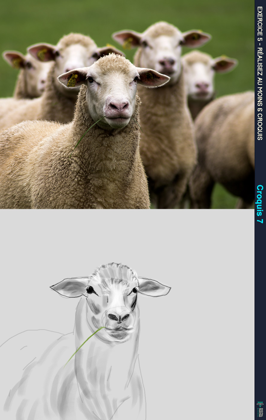 DPS-Prog-1-2-exercice5croq7smKrikette.jp