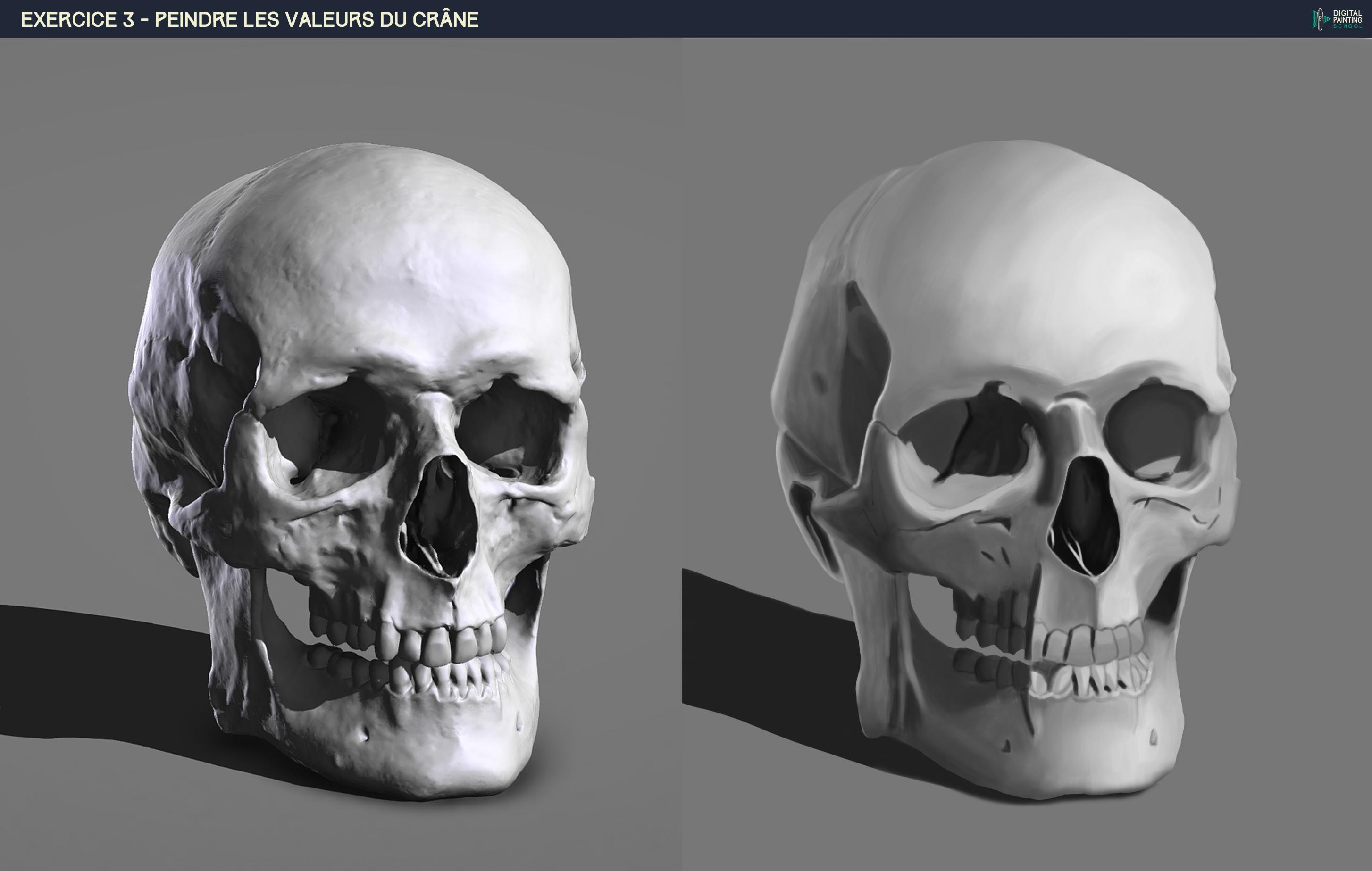 DPS-Prog-1-4-3-d%C3%A9mo-crane-valeurs-1