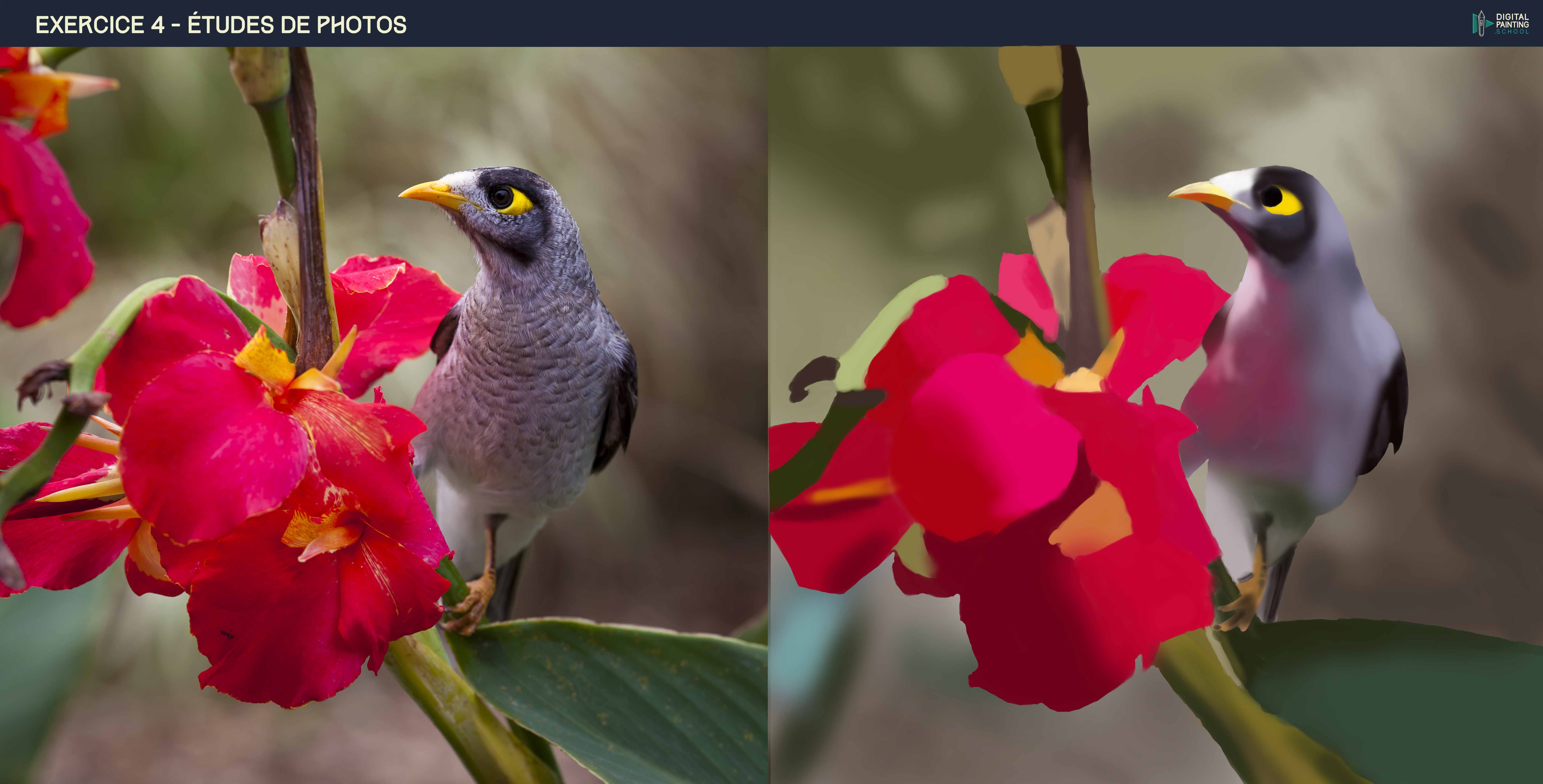 DPS-Prog-1-5-exercice4-etude_photo-Croqu