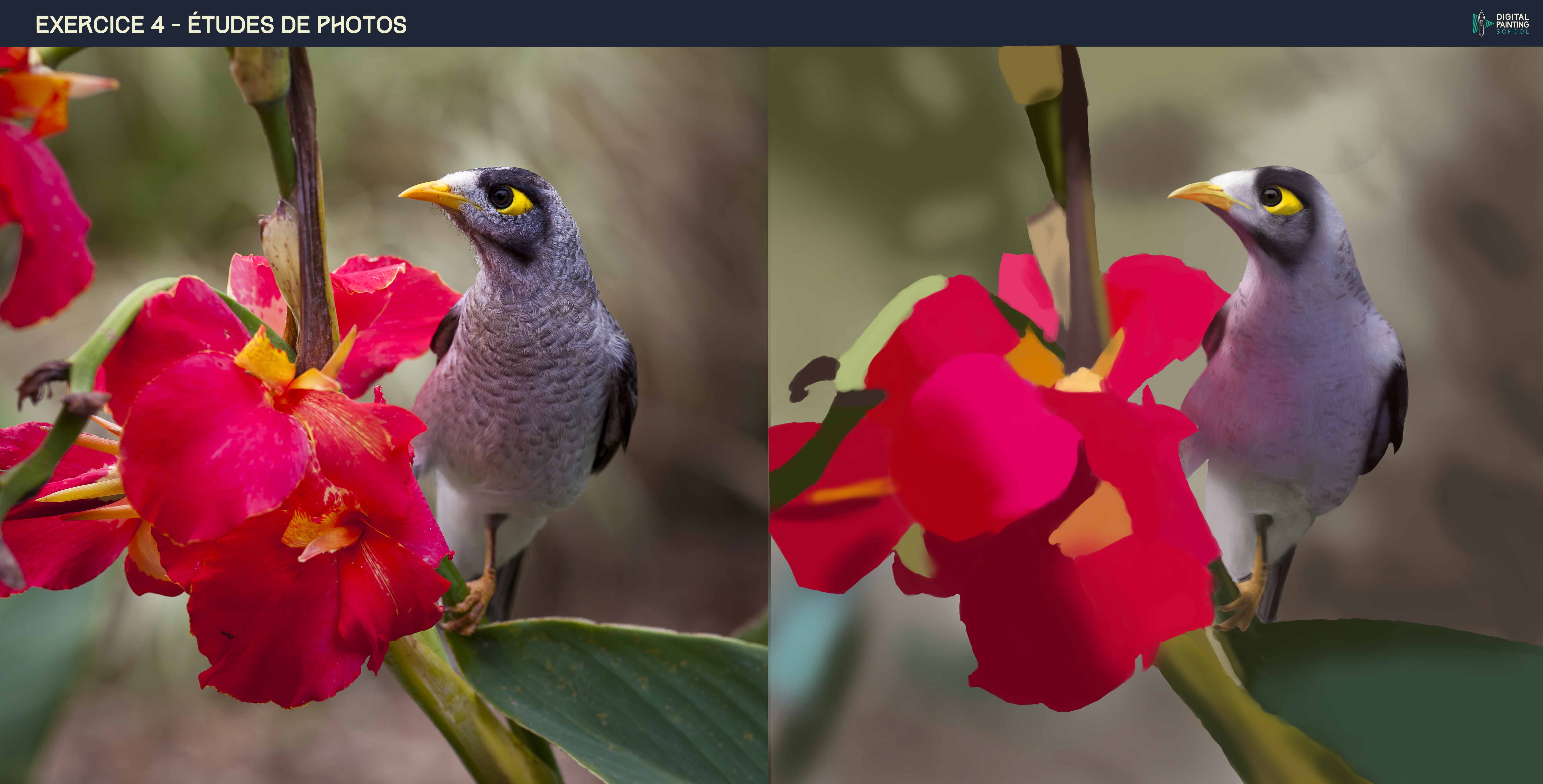 DPS-Prog-1-5-exercice4-etude_photo-Croqu