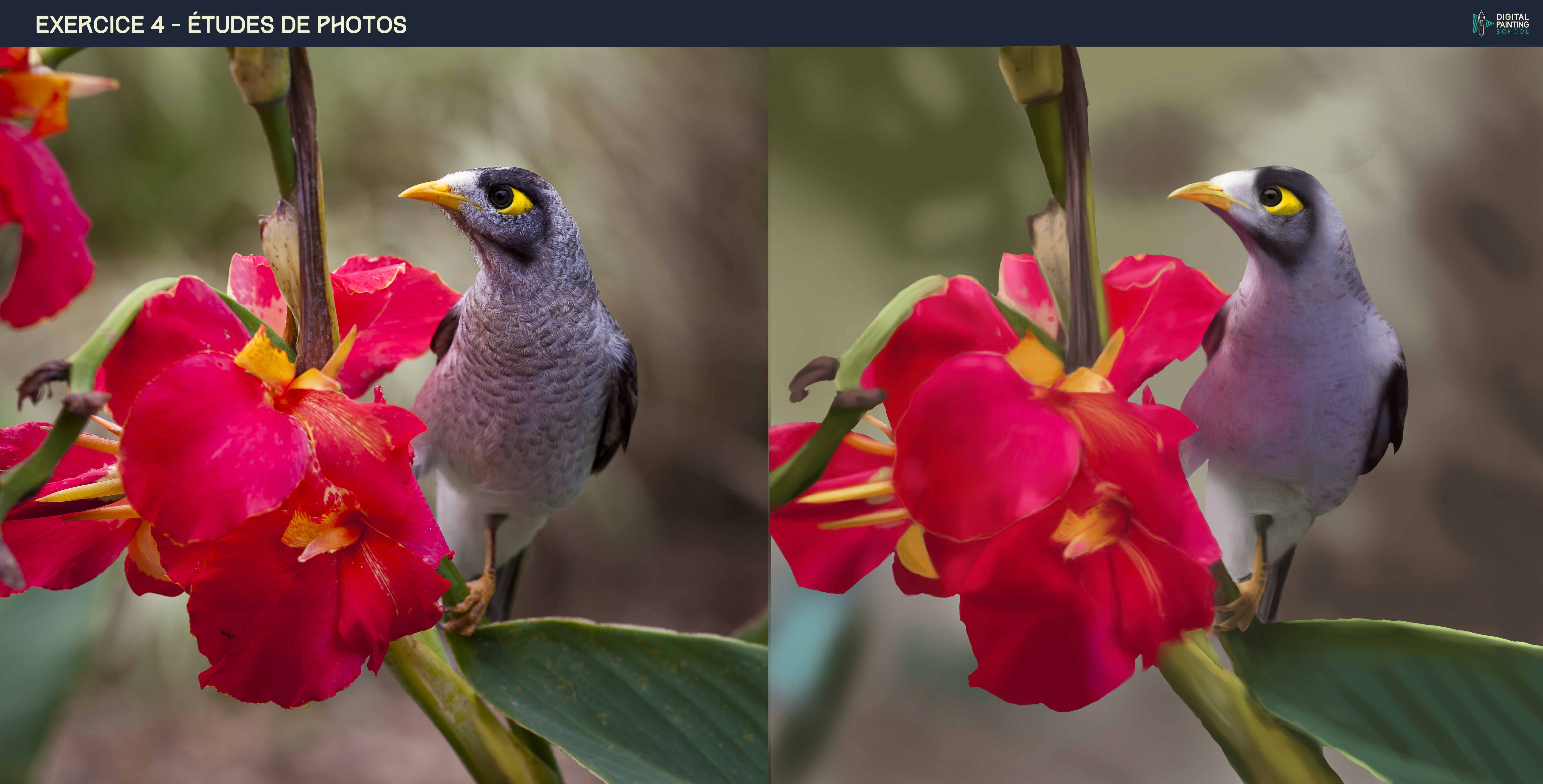 DPS-Prog-1-5-exercice4-etude_photo-Croqu