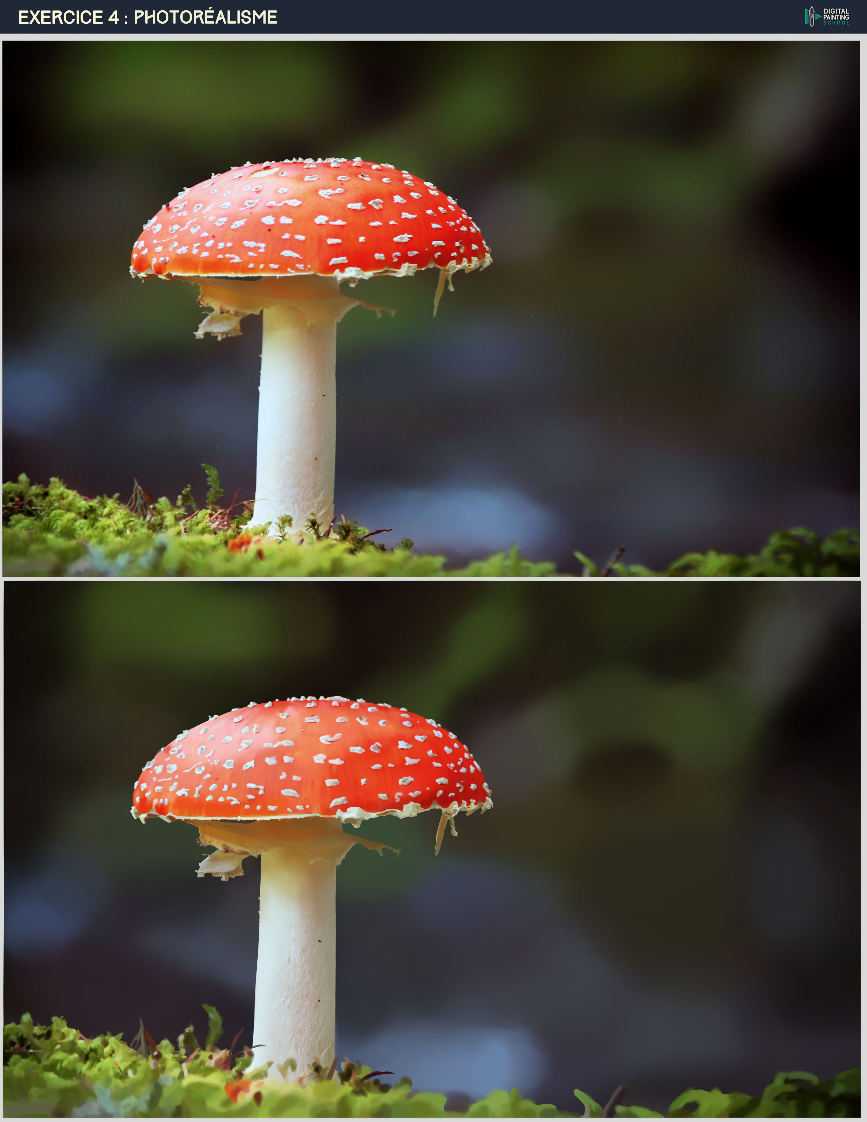 DPS-Prog-1-9-exercice4-photorealisme-debut-4.jpg