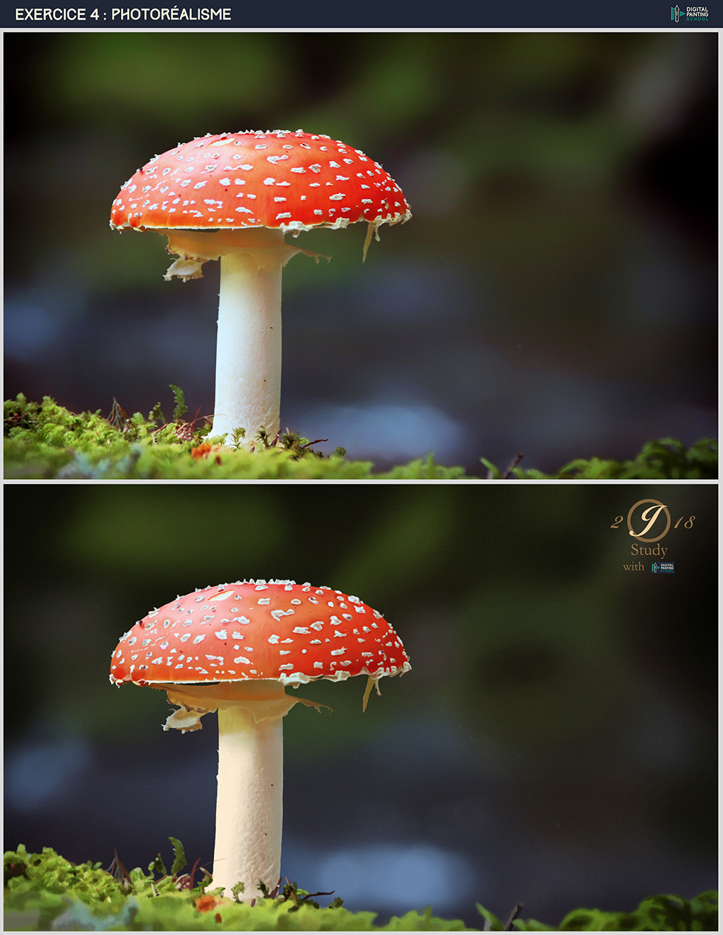 DPS-Prog-1-9-exercice4-photorealisme_final-jéjé.jpg