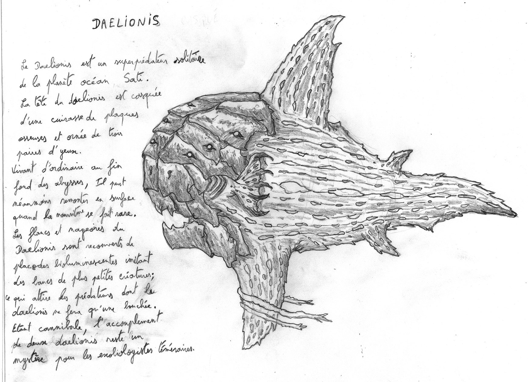 Daelionis-croquis.jpg