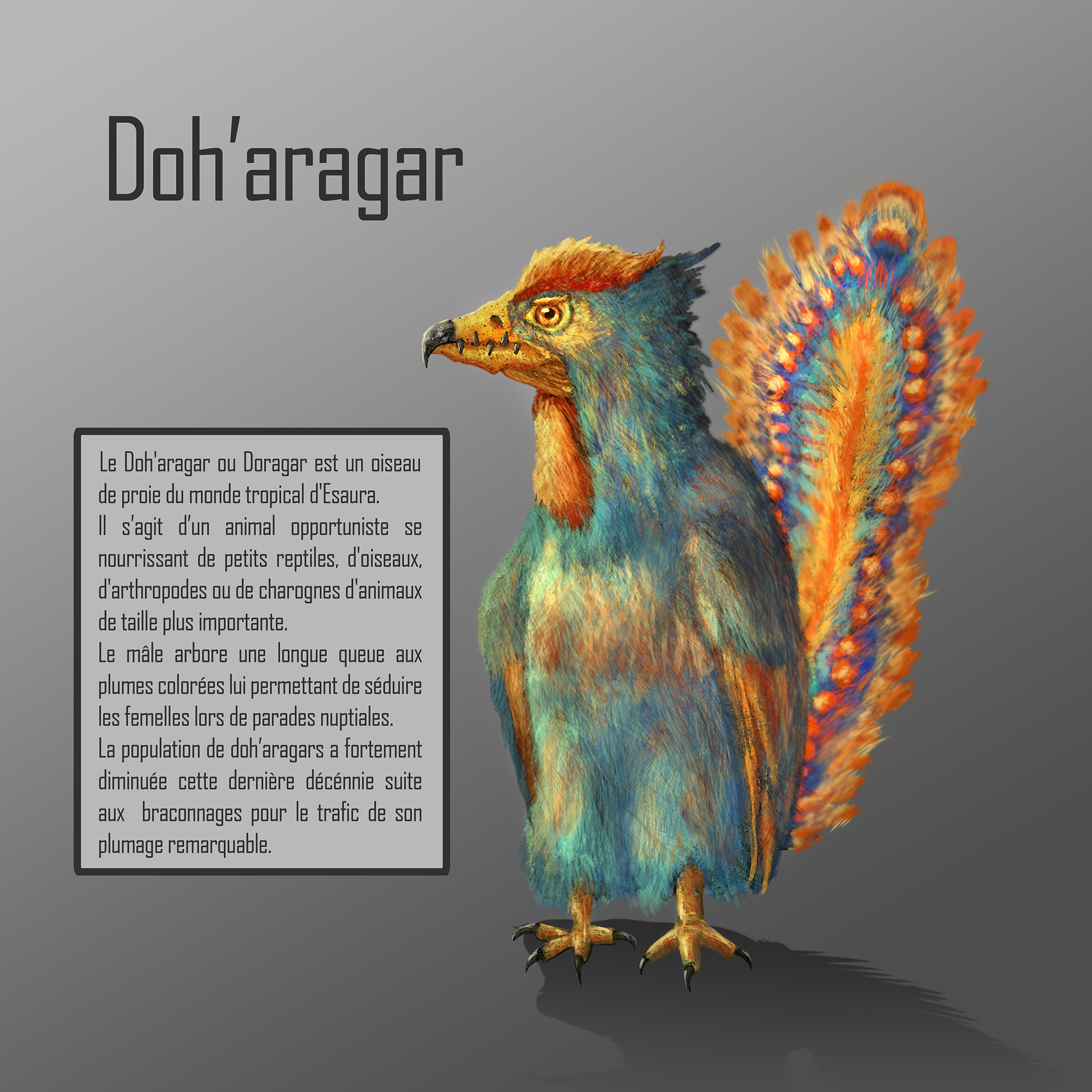 Doahragar-1.jpg
