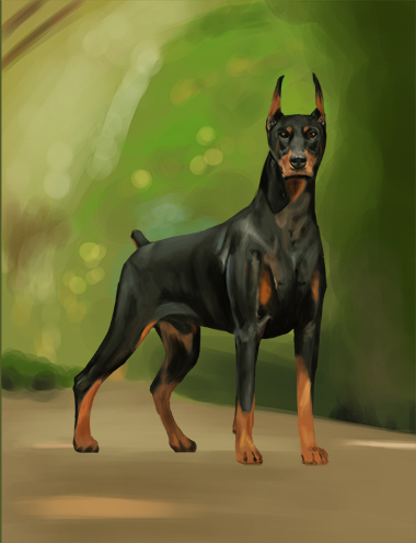 Doberman01.jpg