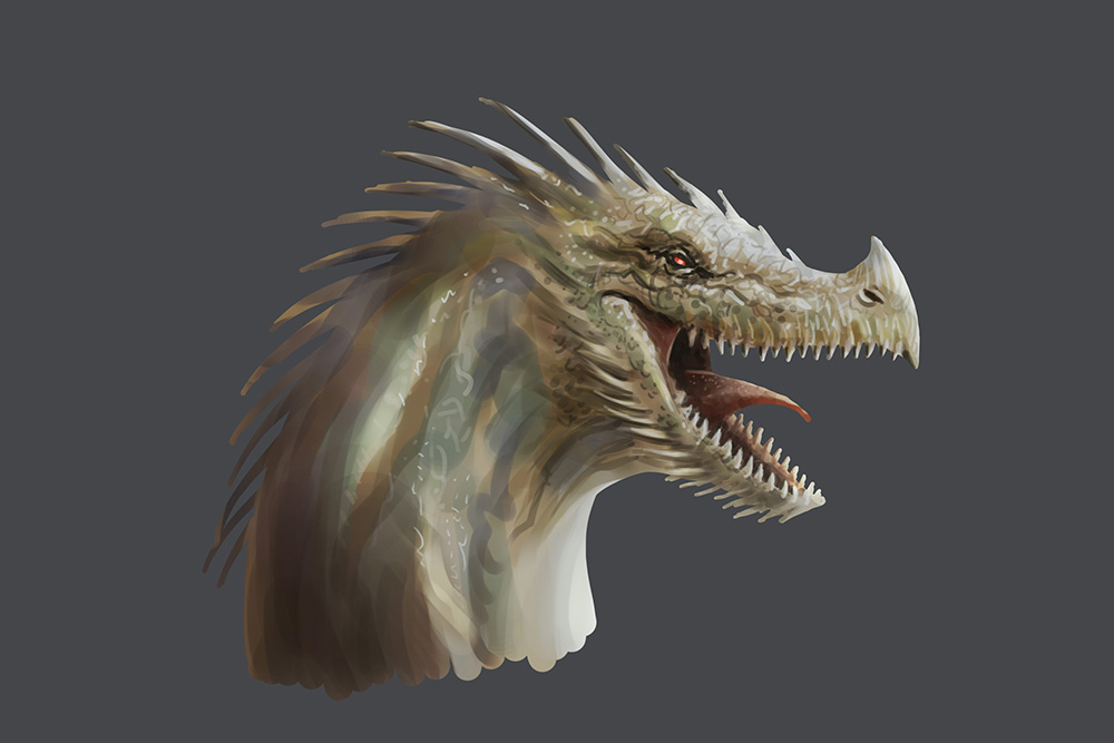 Dragon-head-2.jpg